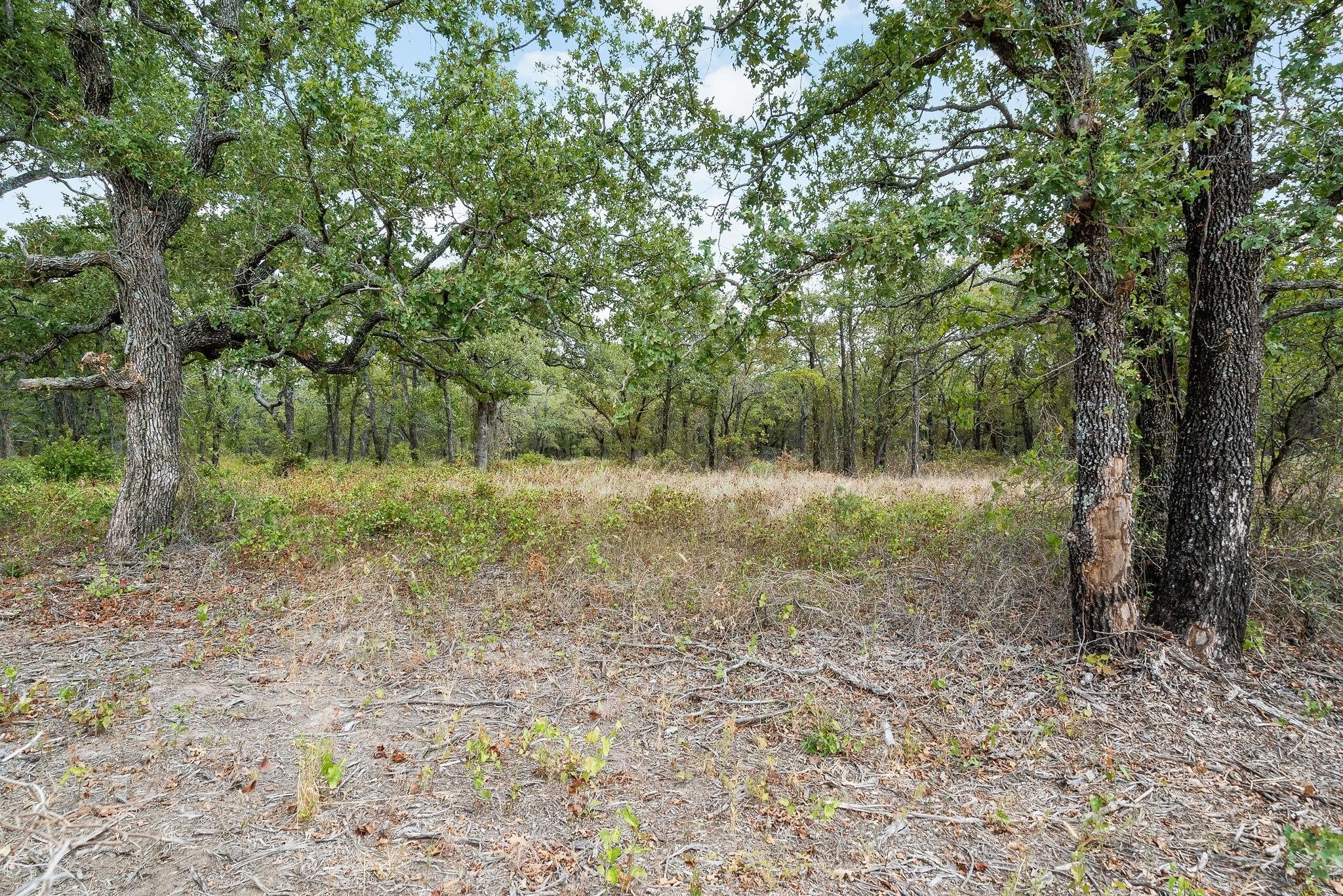 Lot 16 Double B Ranch Road S