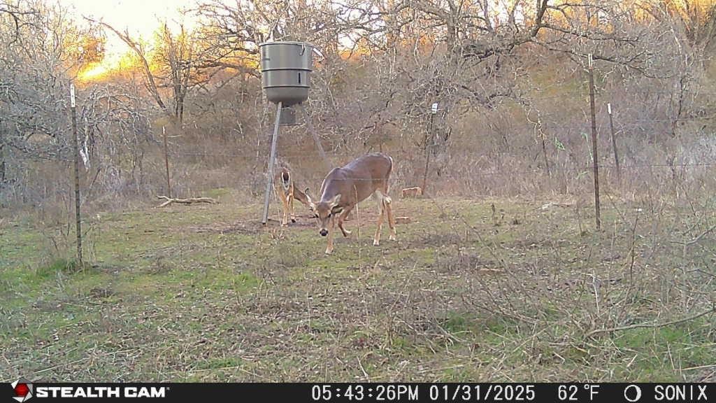 Not Addressed yet Slusher Road