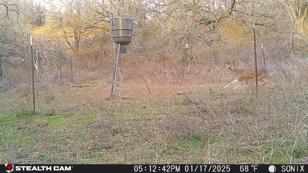 Not Addressed yet Slusher Road