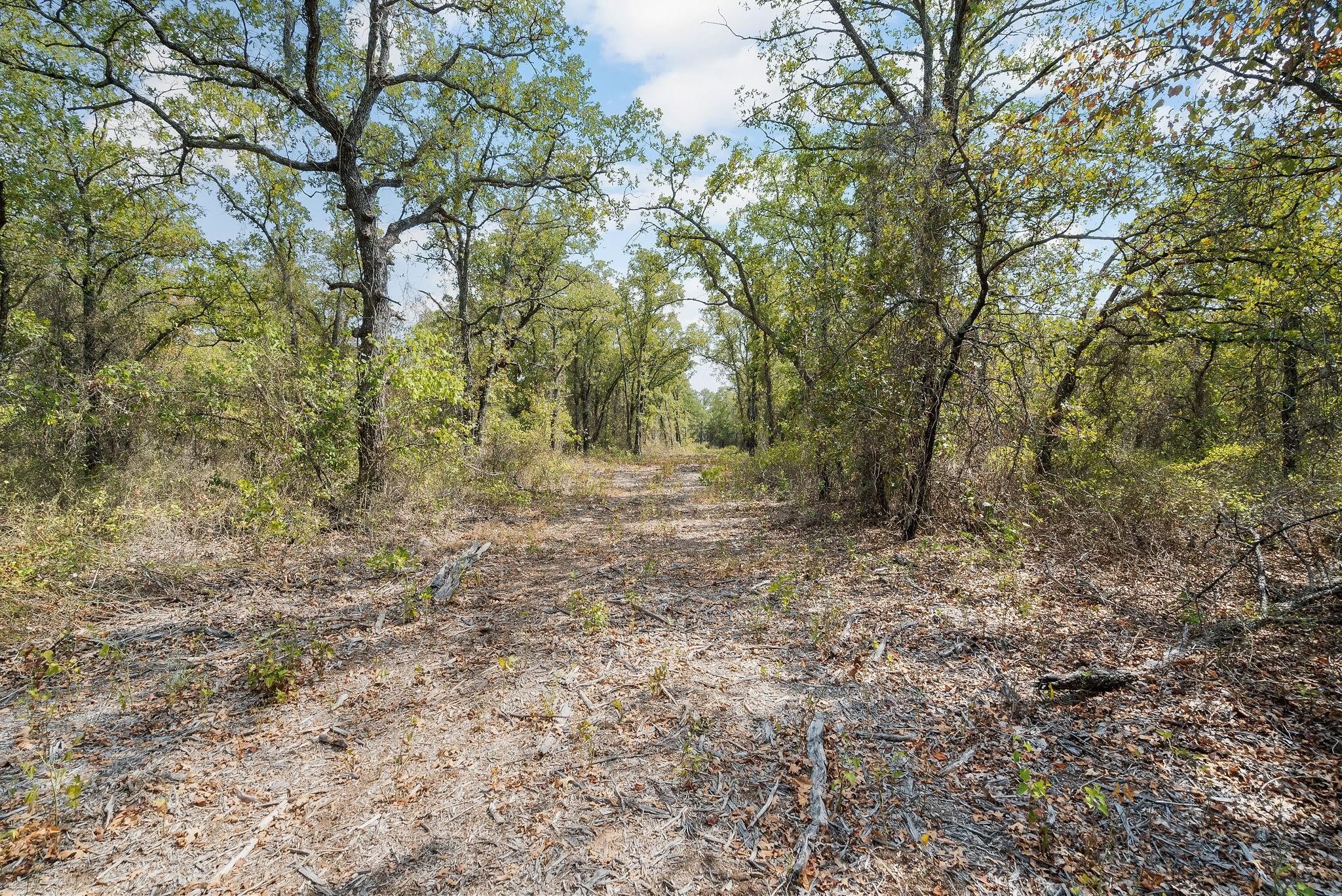 Lot 13 Double B Ranch Road S