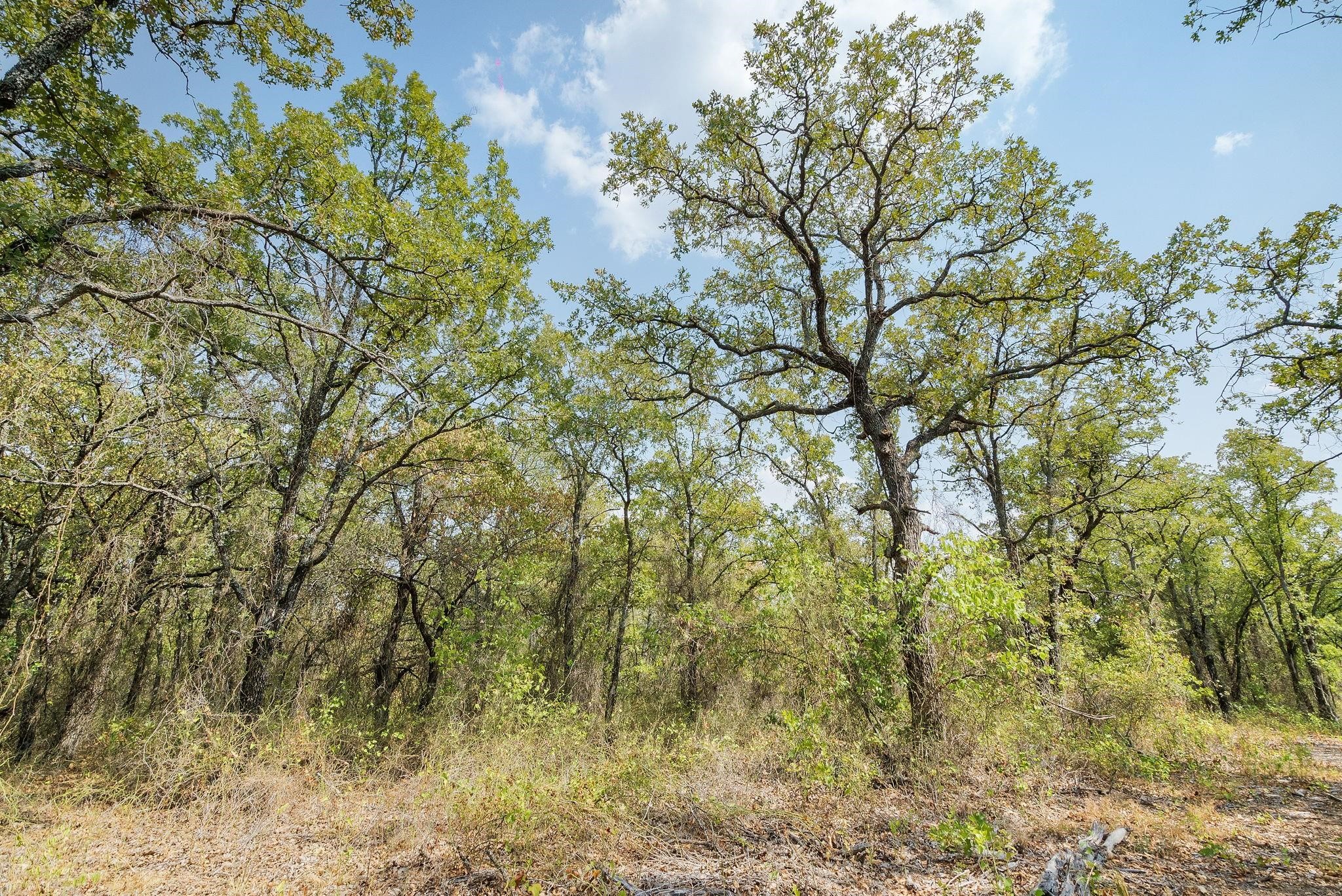 Lot 13 Double B Ranch Road S