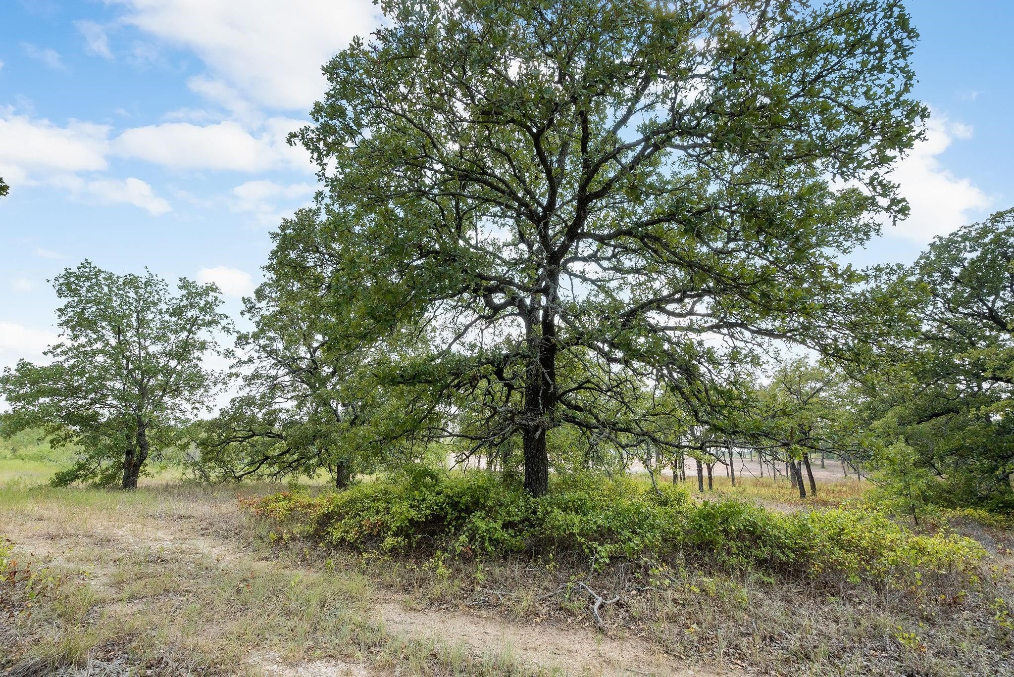 Lot 13 Double B Ranch Road S