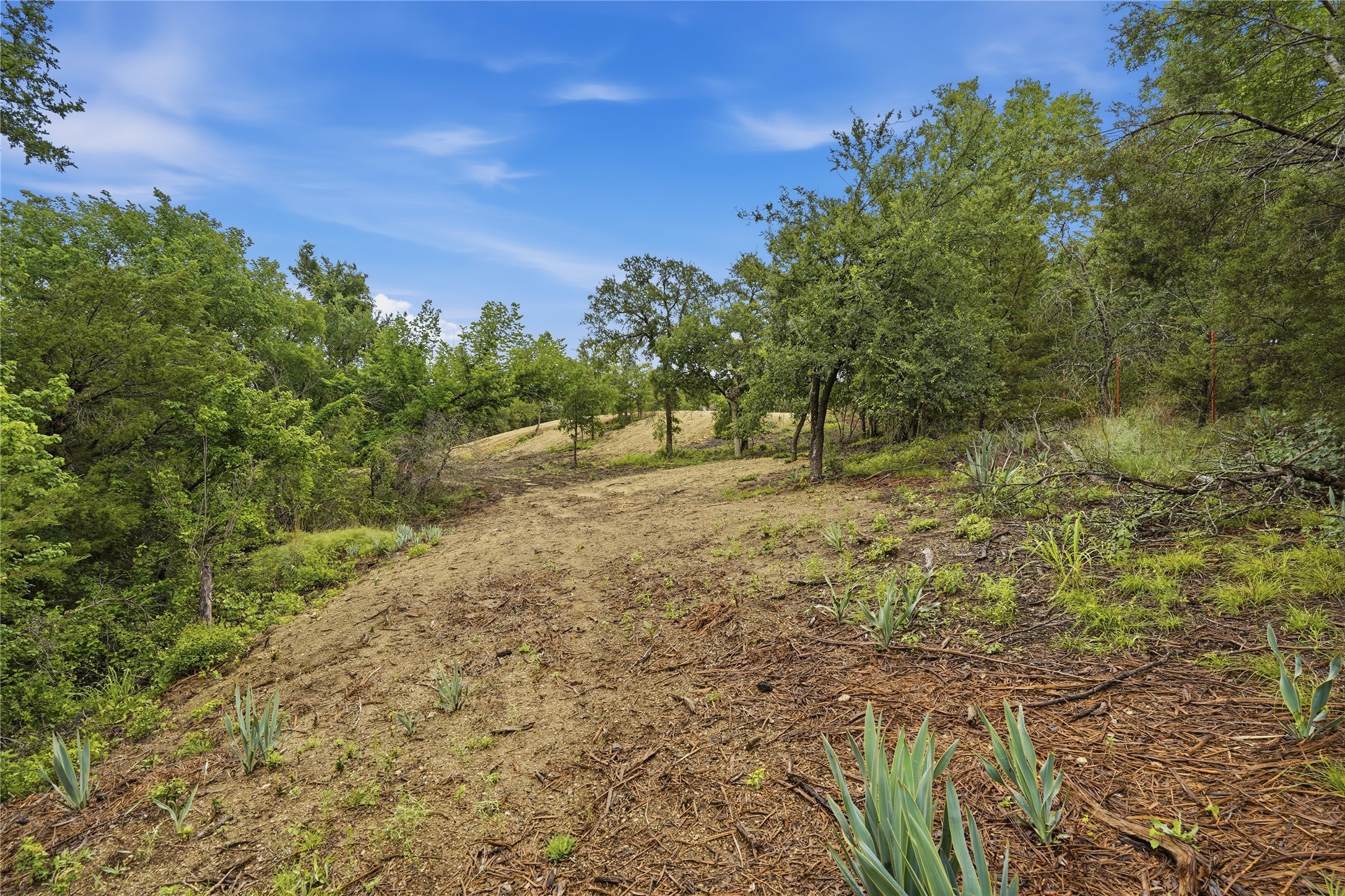 TBD Northview Road