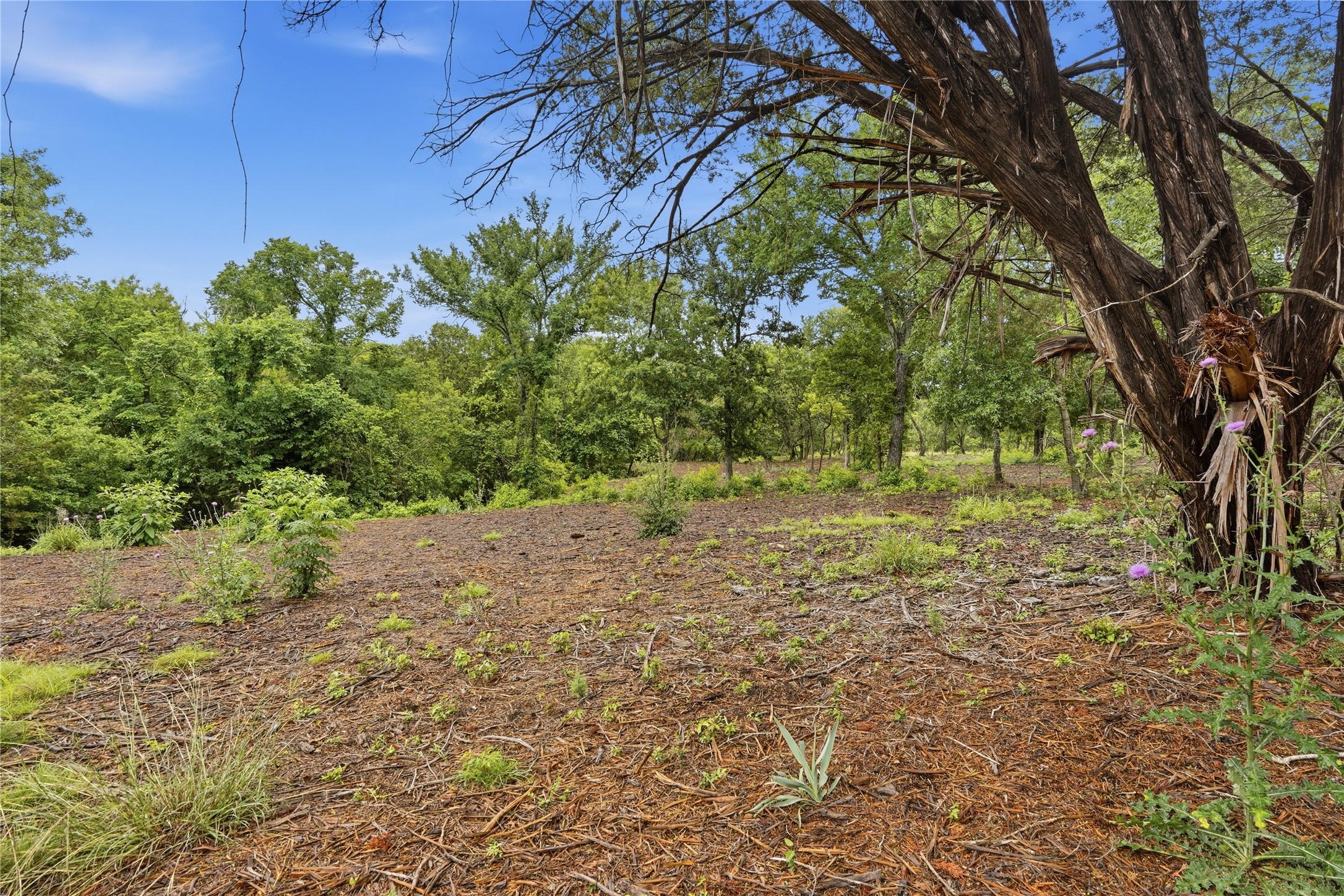 TBD Northview Road