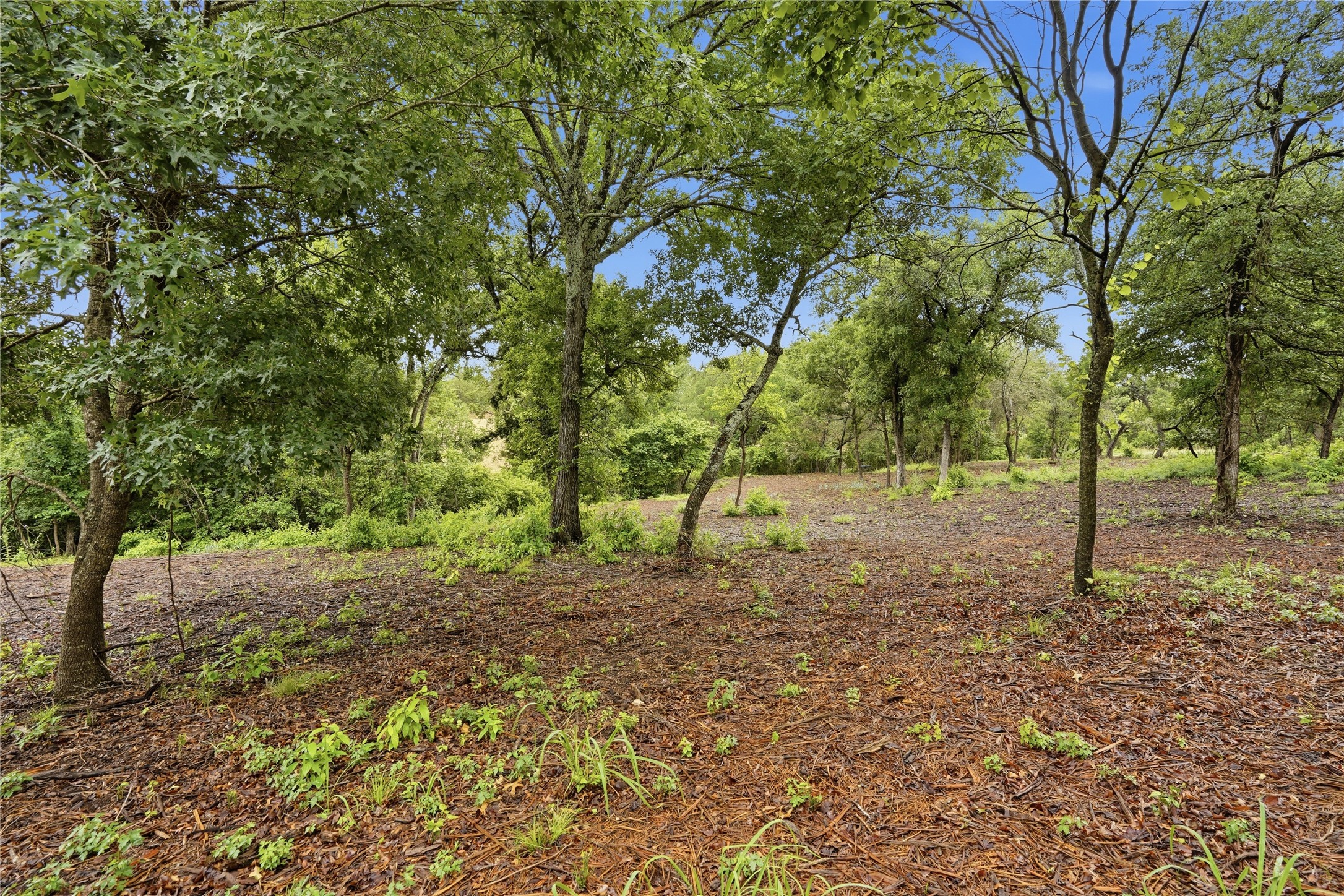 TBD Northview Road