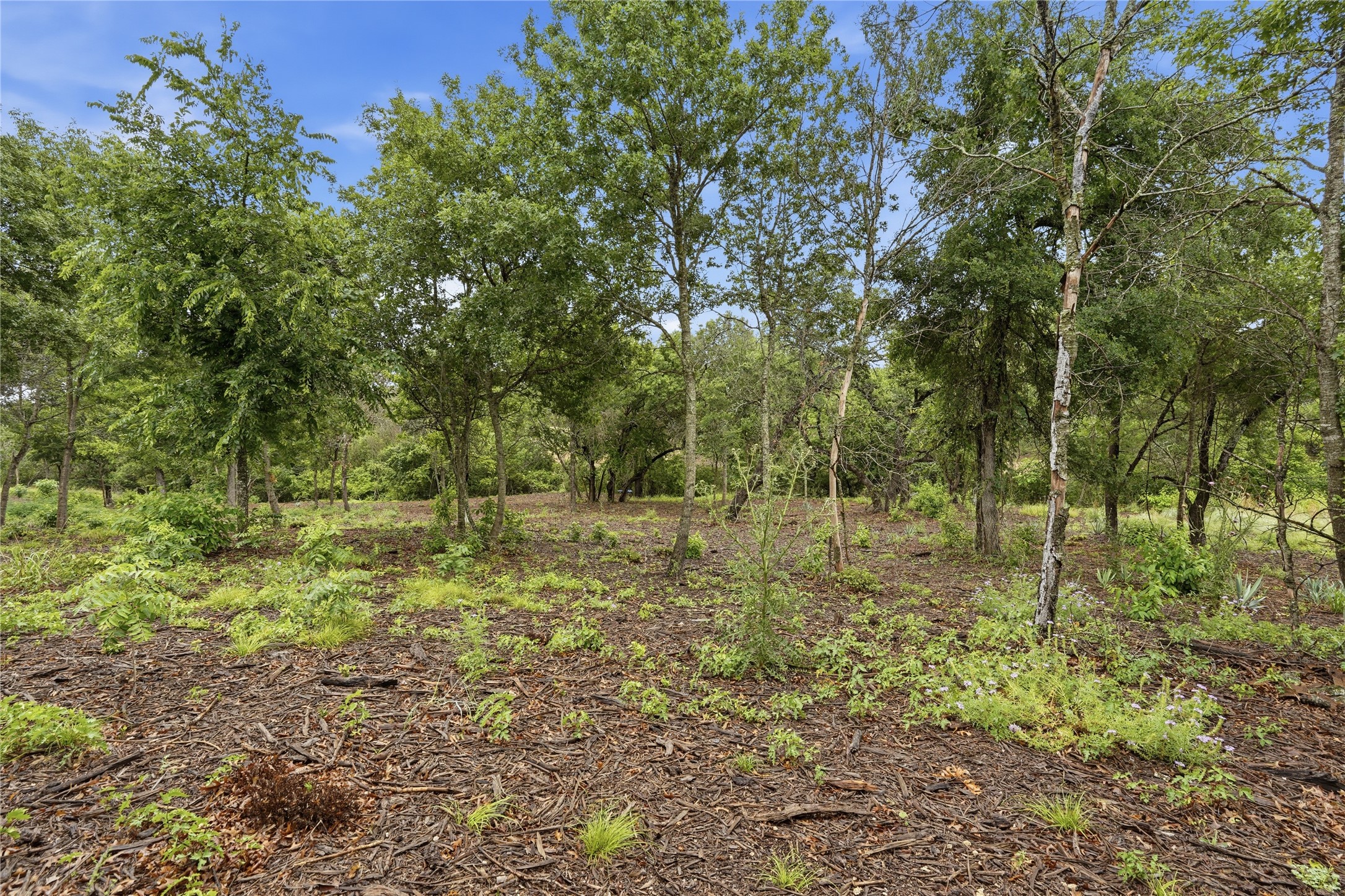 TBD Northview Road