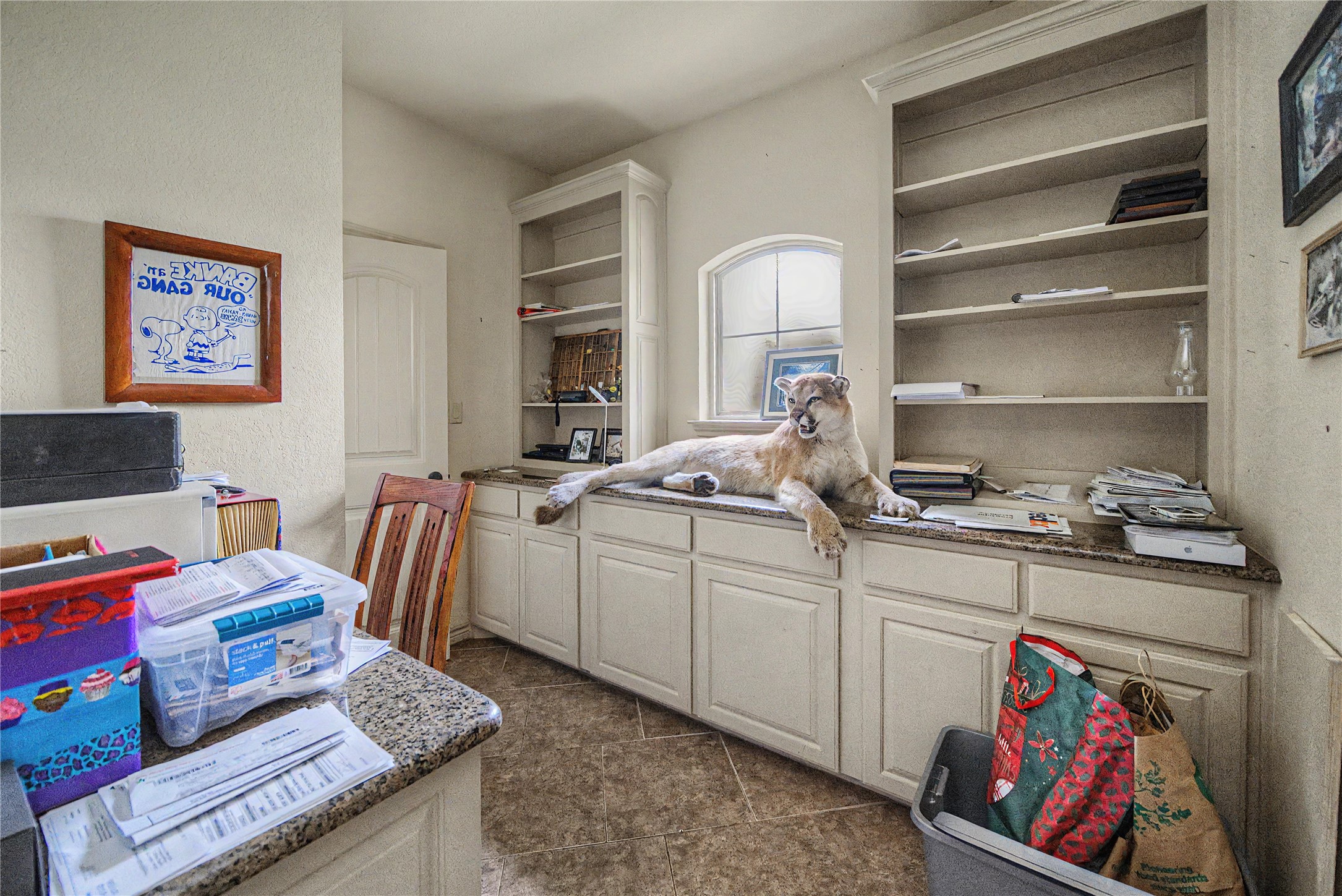 130 Aledo Grove Court