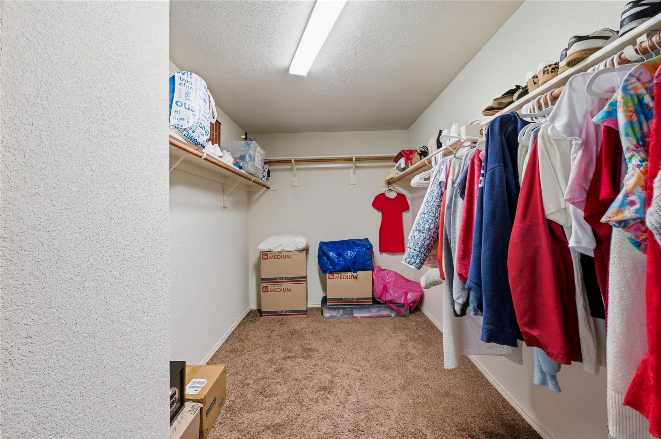 2904 Big Horn Bluff Court