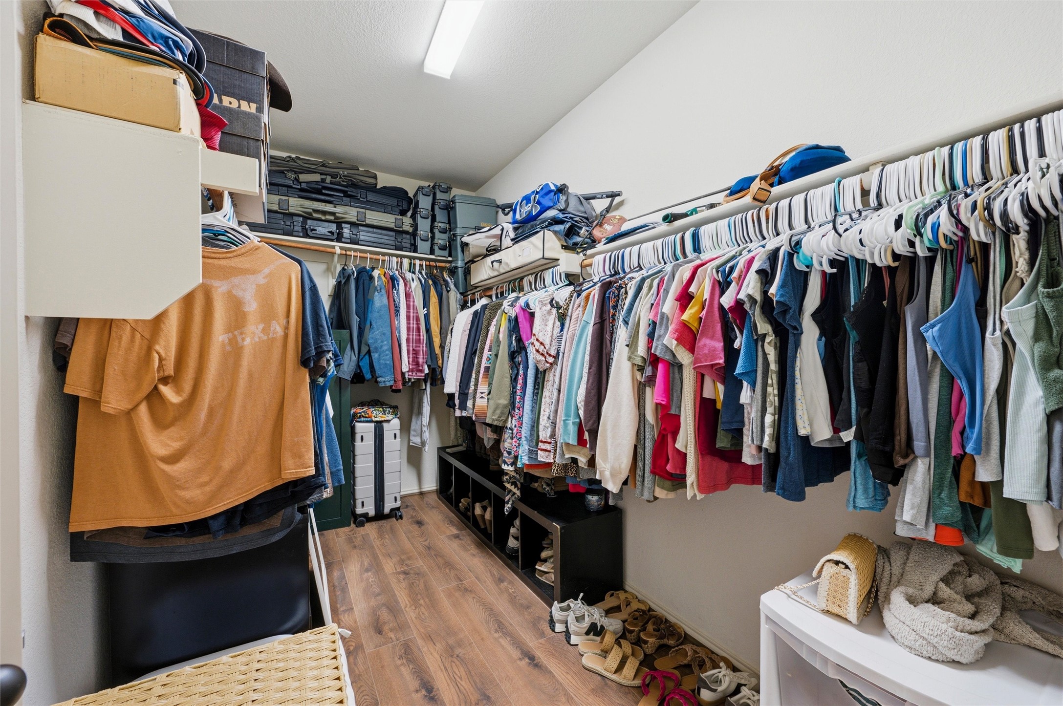 2904 Big Horn Bluff Court
