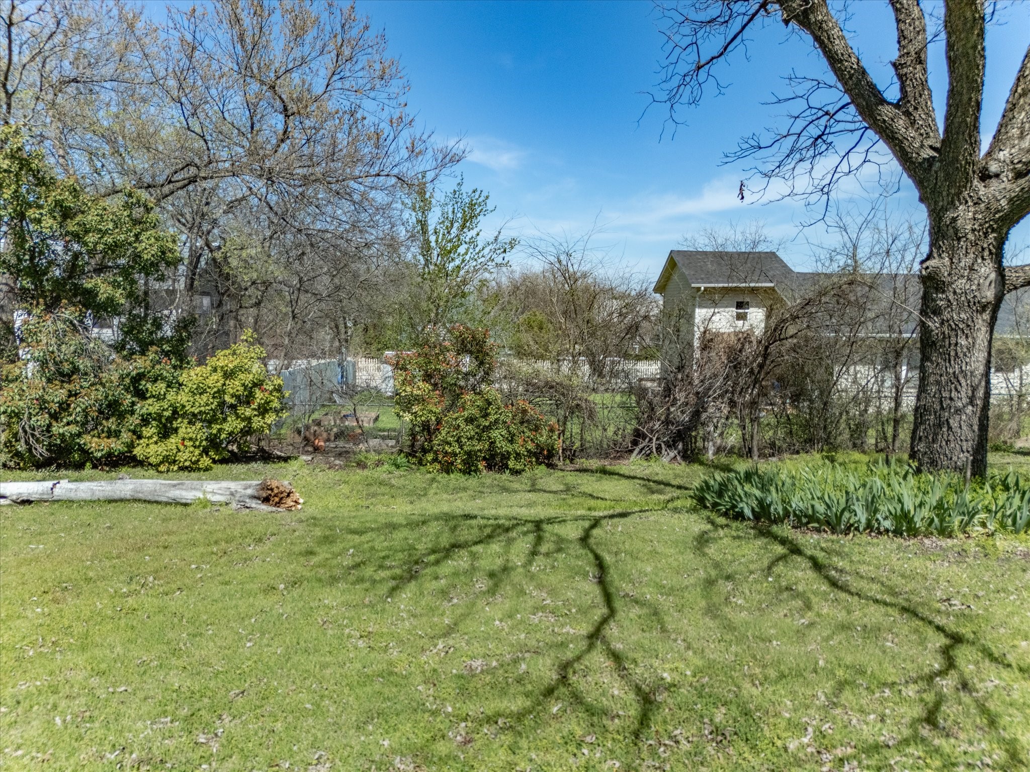107 N Alamo Street