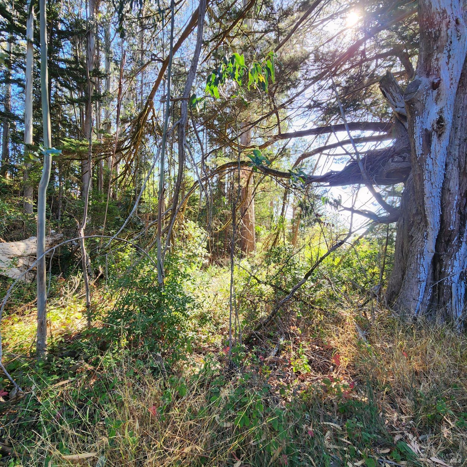 530 Horseshoe Hill Rd