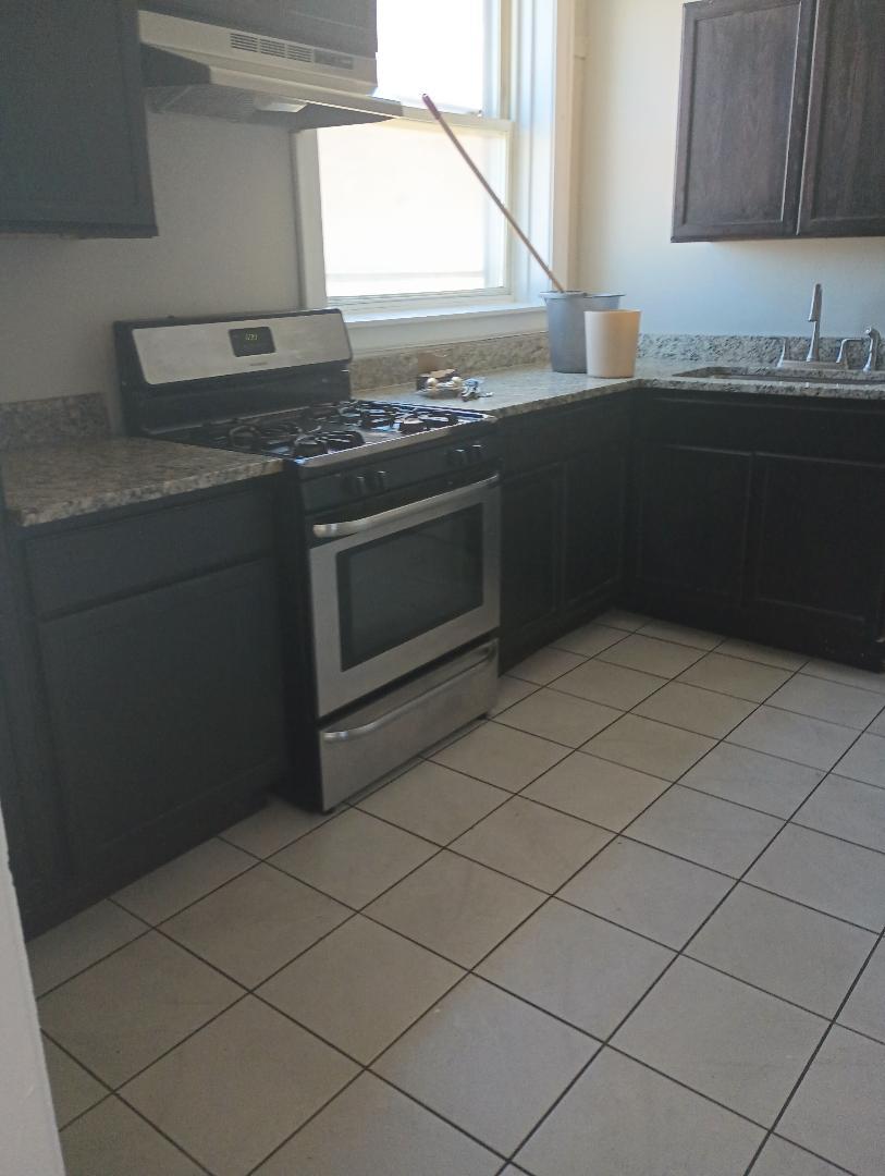 937 N Austin Boulevard Unit: 2N