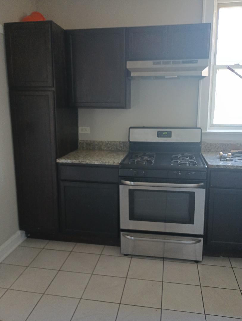 937 N Austin Boulevard Unit: 2N