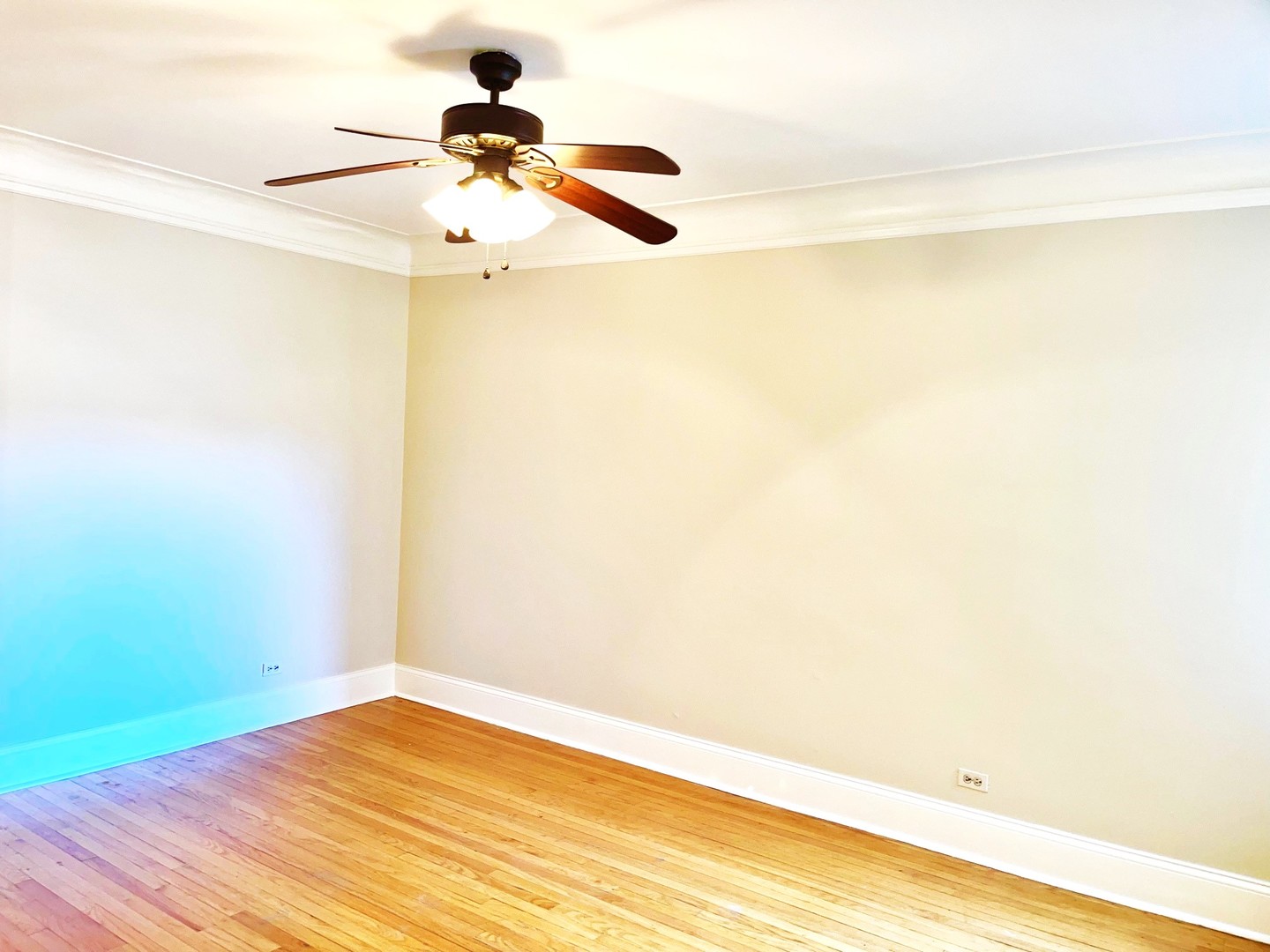 1527 W Pratt Boulevard Unit: 2E