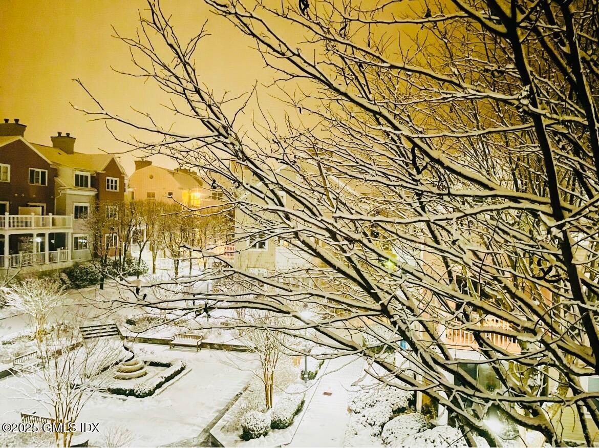 51 Forest Avenue, 22