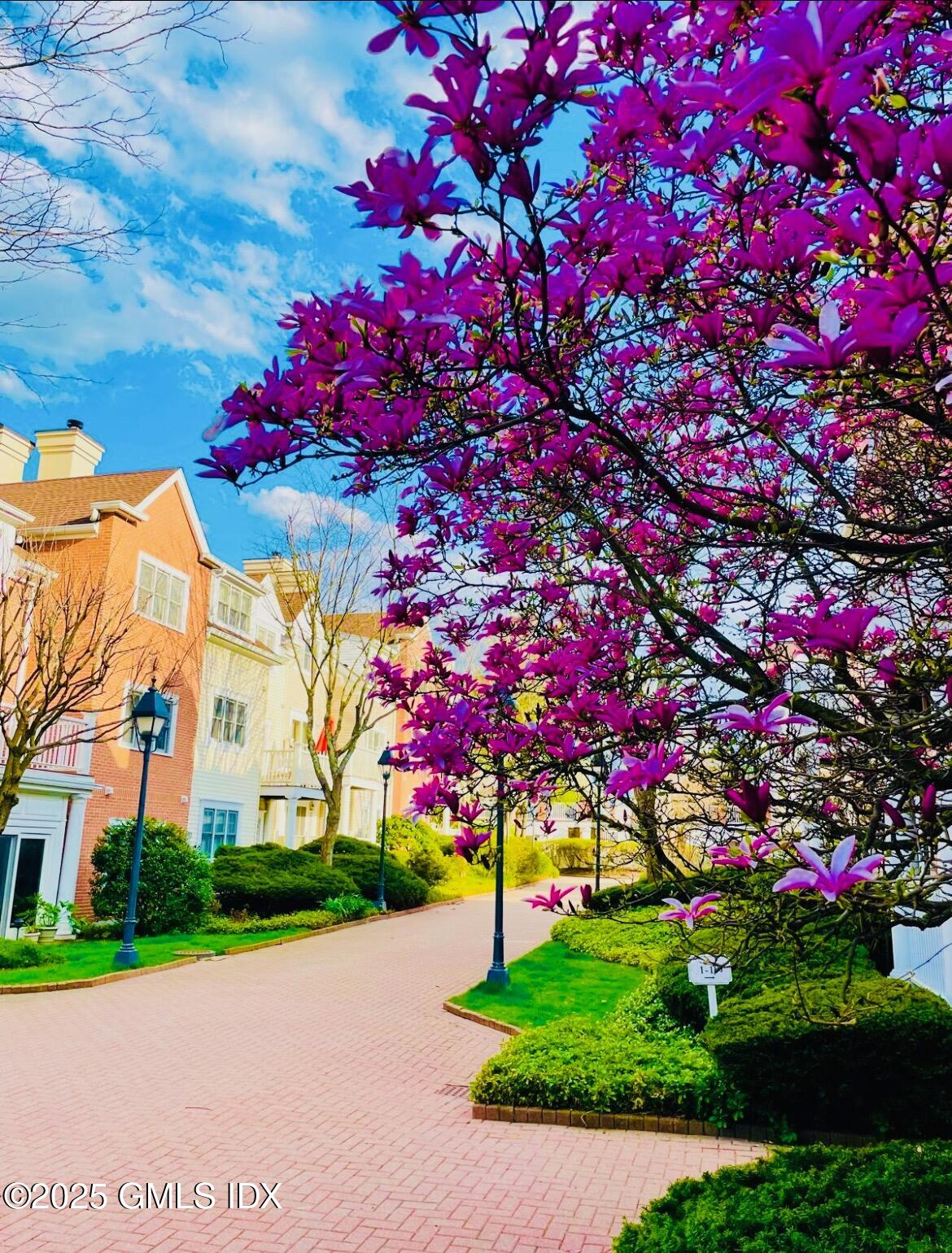 51 Forest Avenue, 22