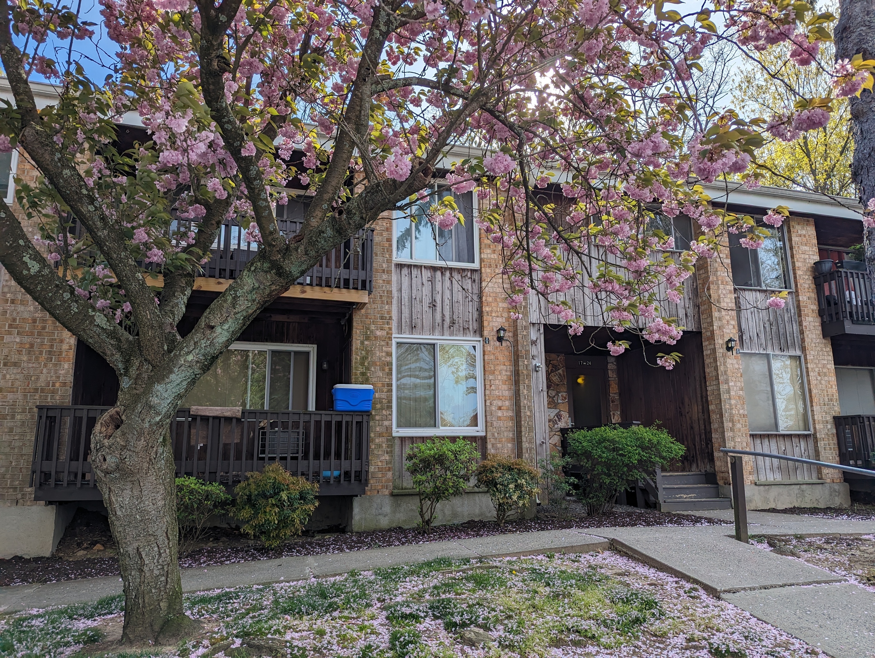 333 Vincellette Street 19