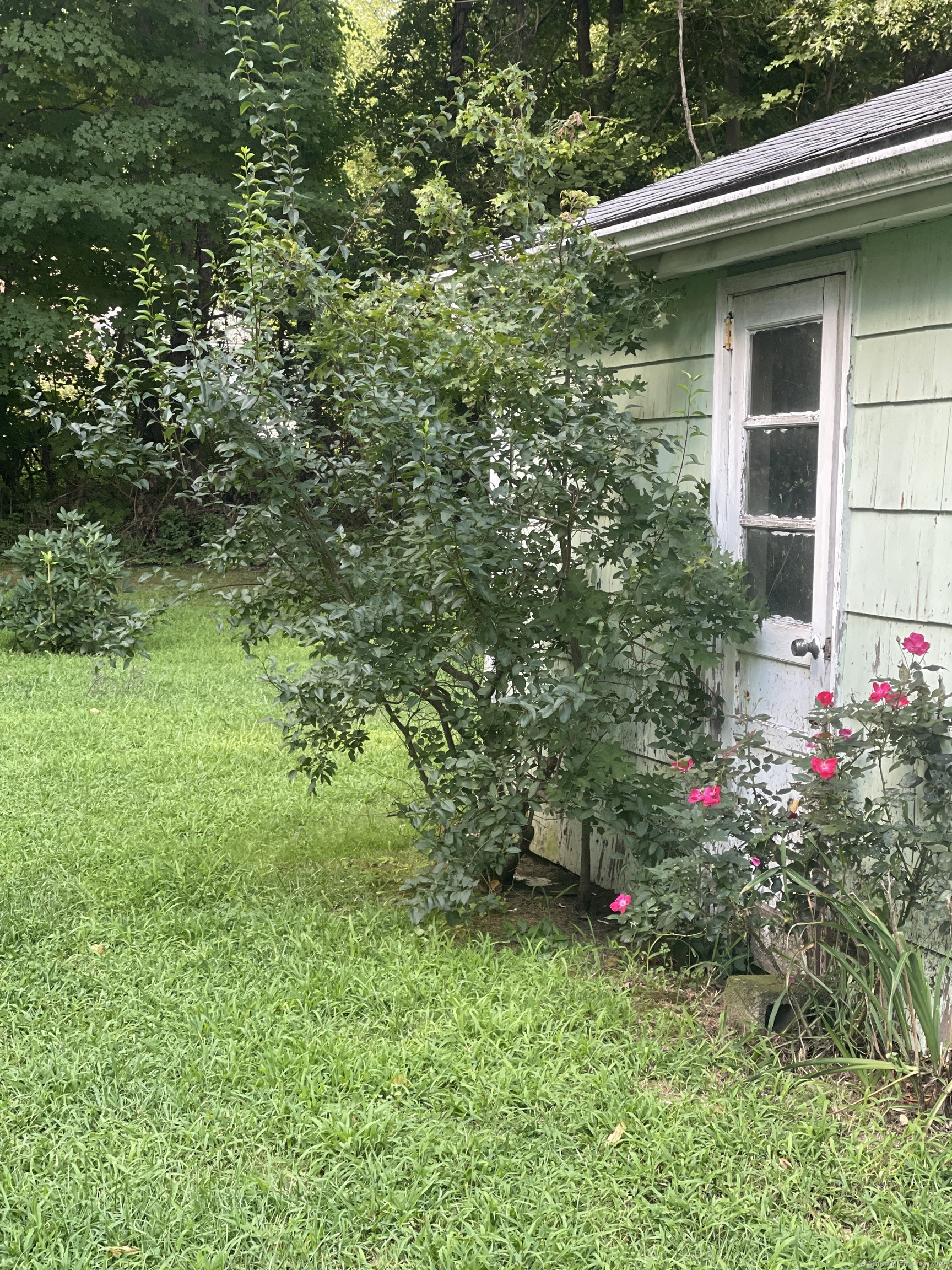 35 Chauncey Road