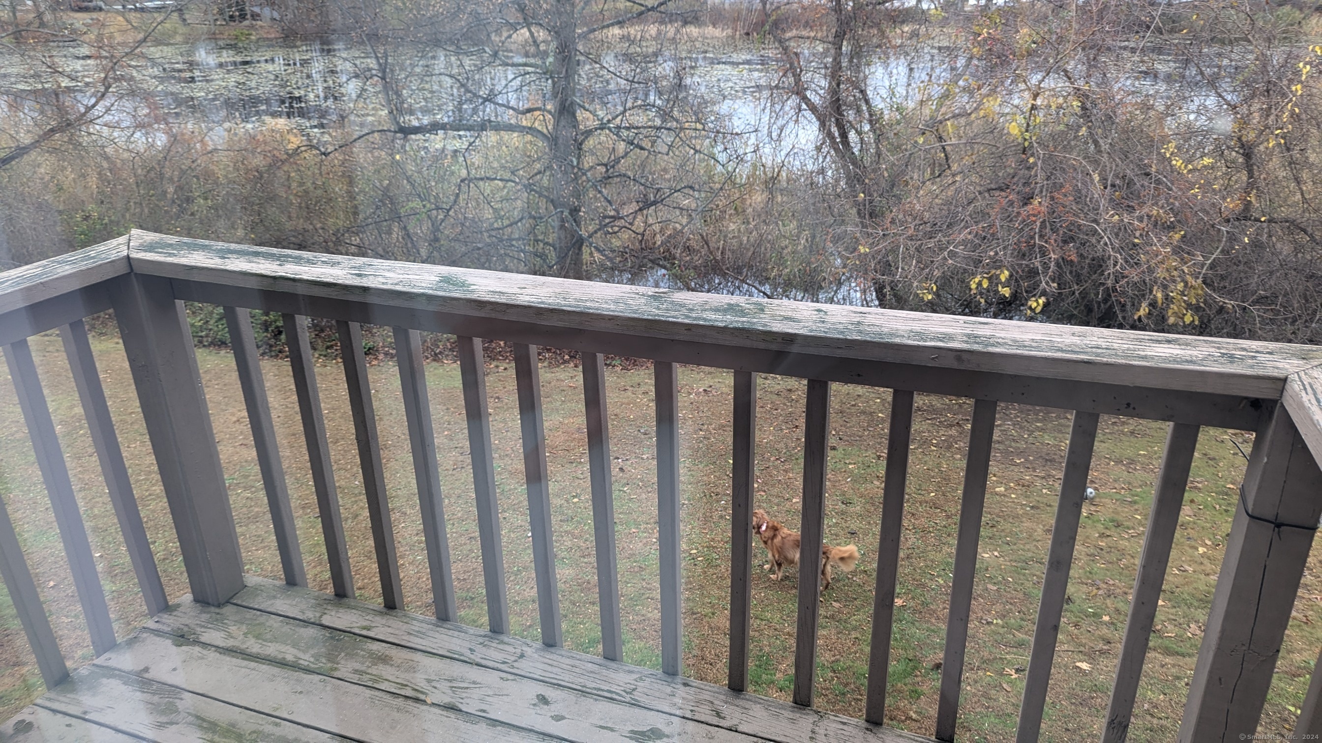 226 Laurel Street APT 16