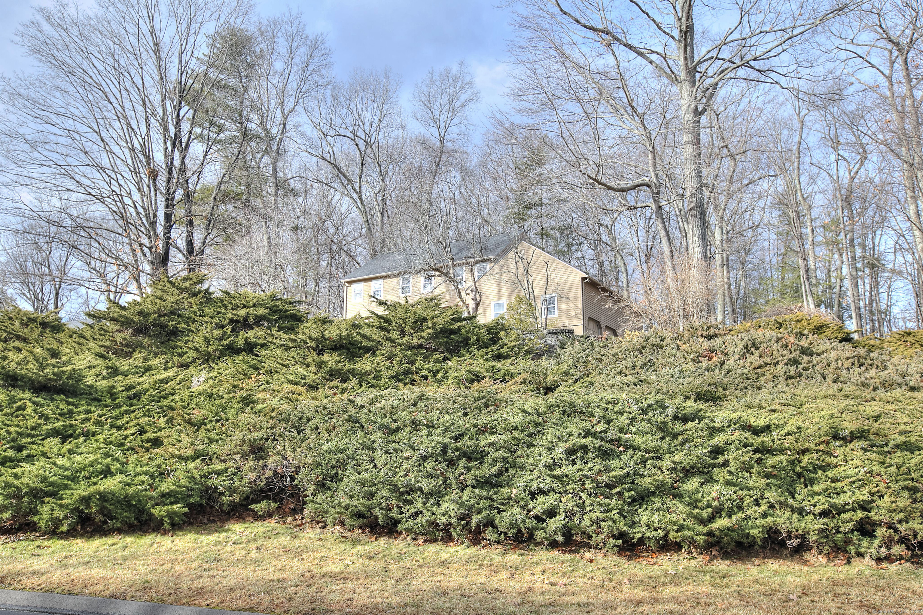 7 Shaw Drive