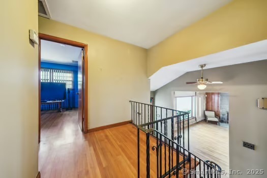 3 Priscilla Road