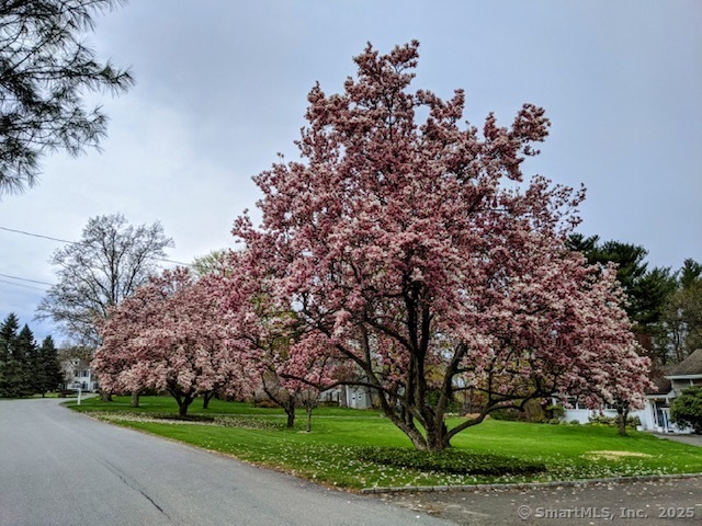 58 Pine Ridge Road
