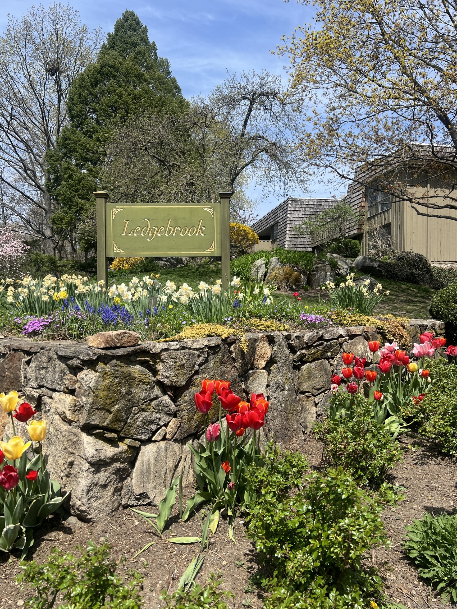 103 Ledgebrook Drive 103