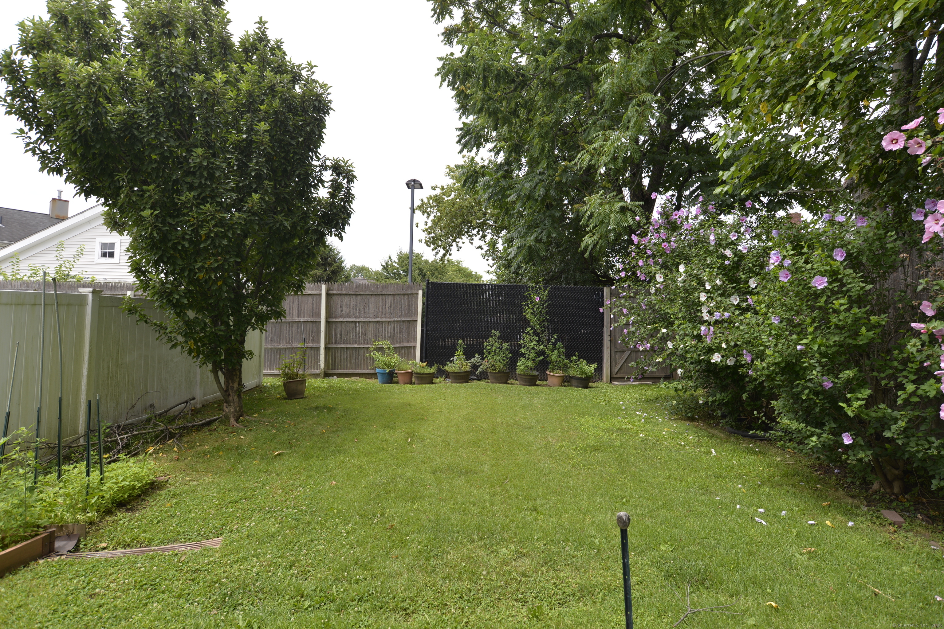 137 Wilson Street 15