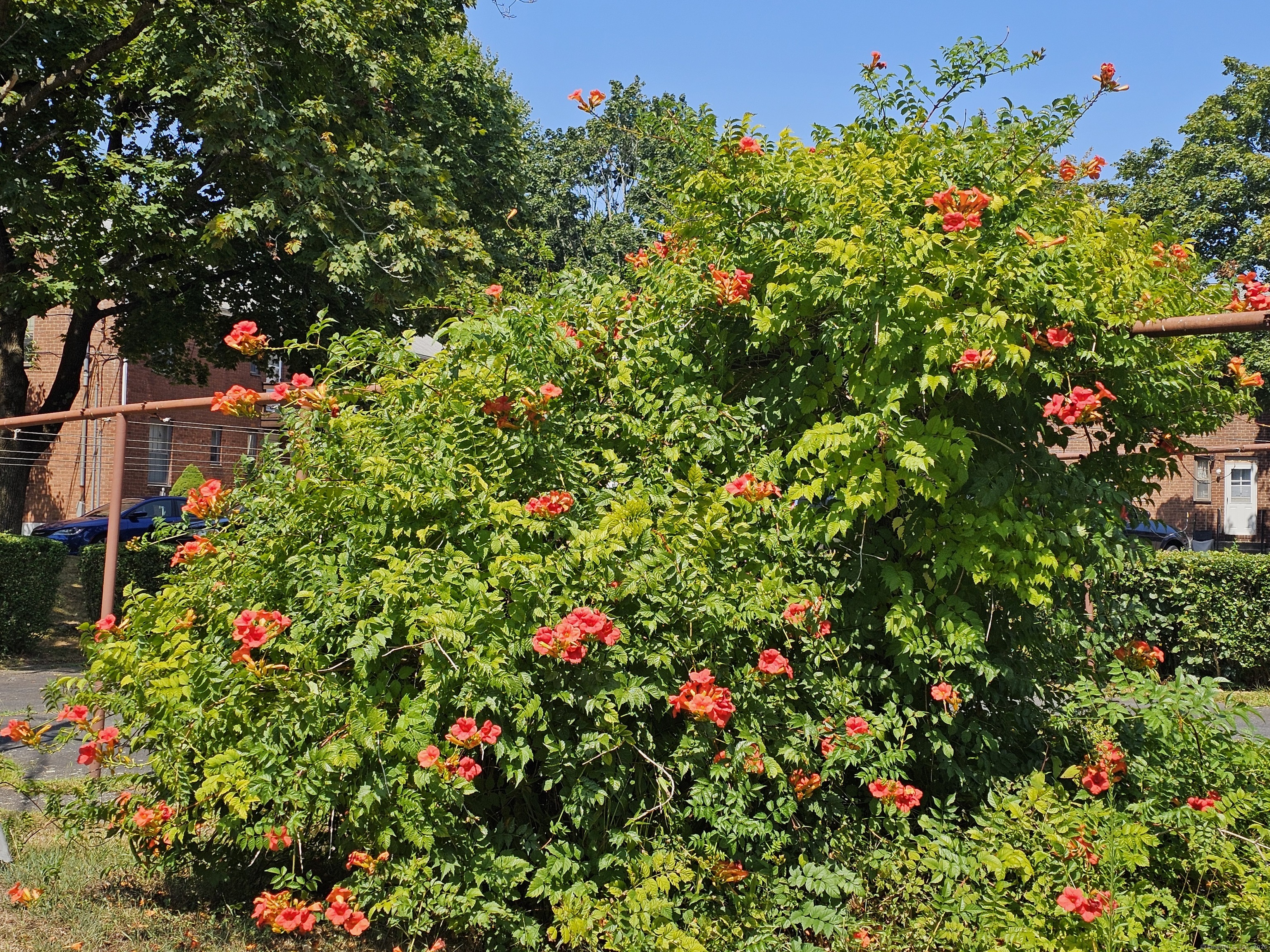 39 Nob Hill Circle B