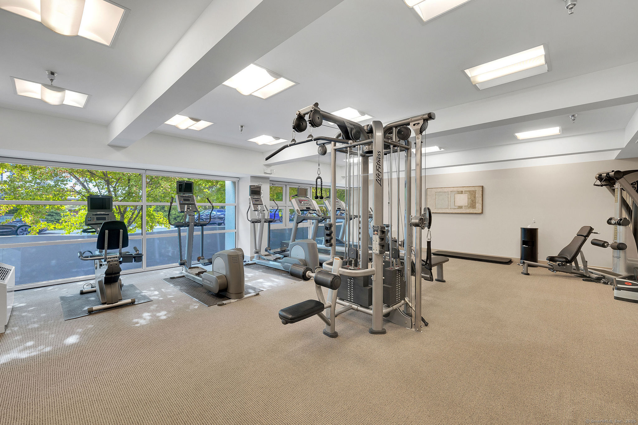 1515 Summer Street 302