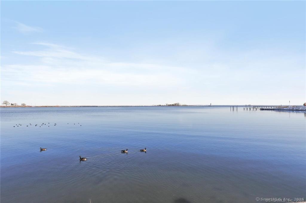 350 Grovers Avenue 1R