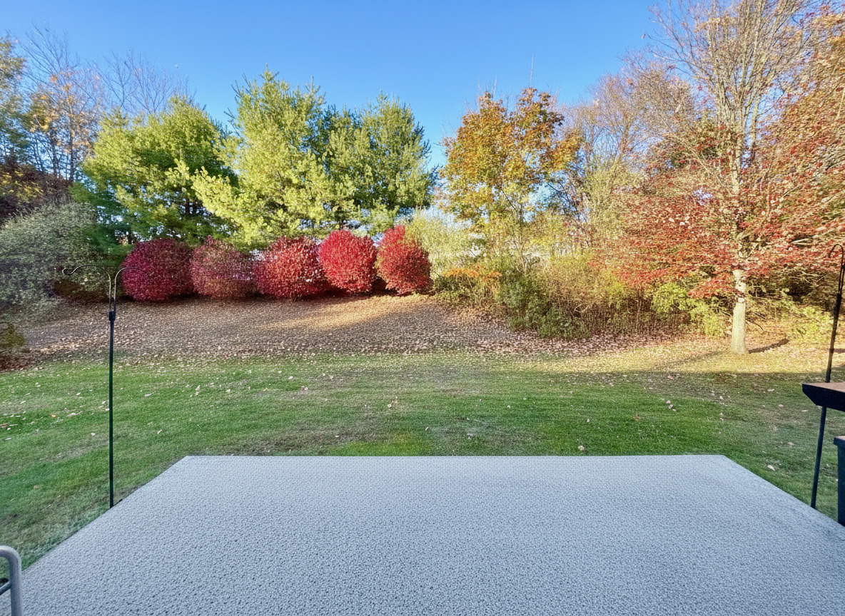 460 Asbury Ridge 460