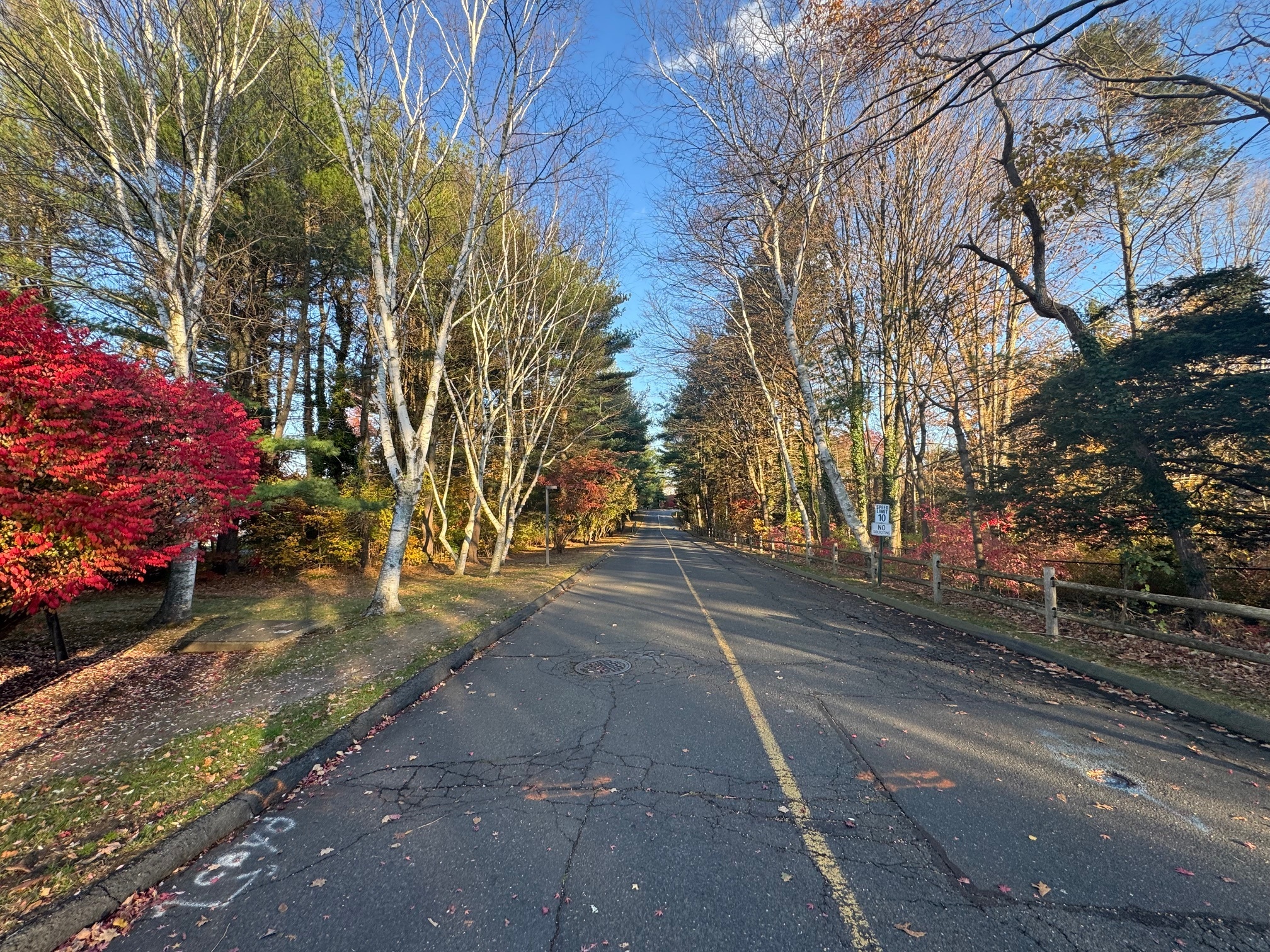 460 Asbury Ridge 460