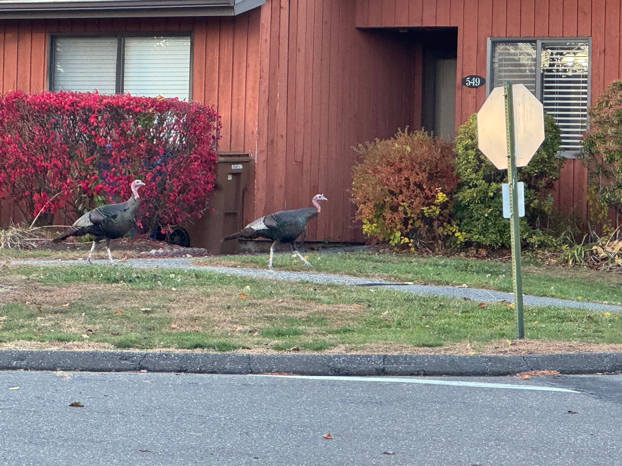 460 Asbury Ridge 460