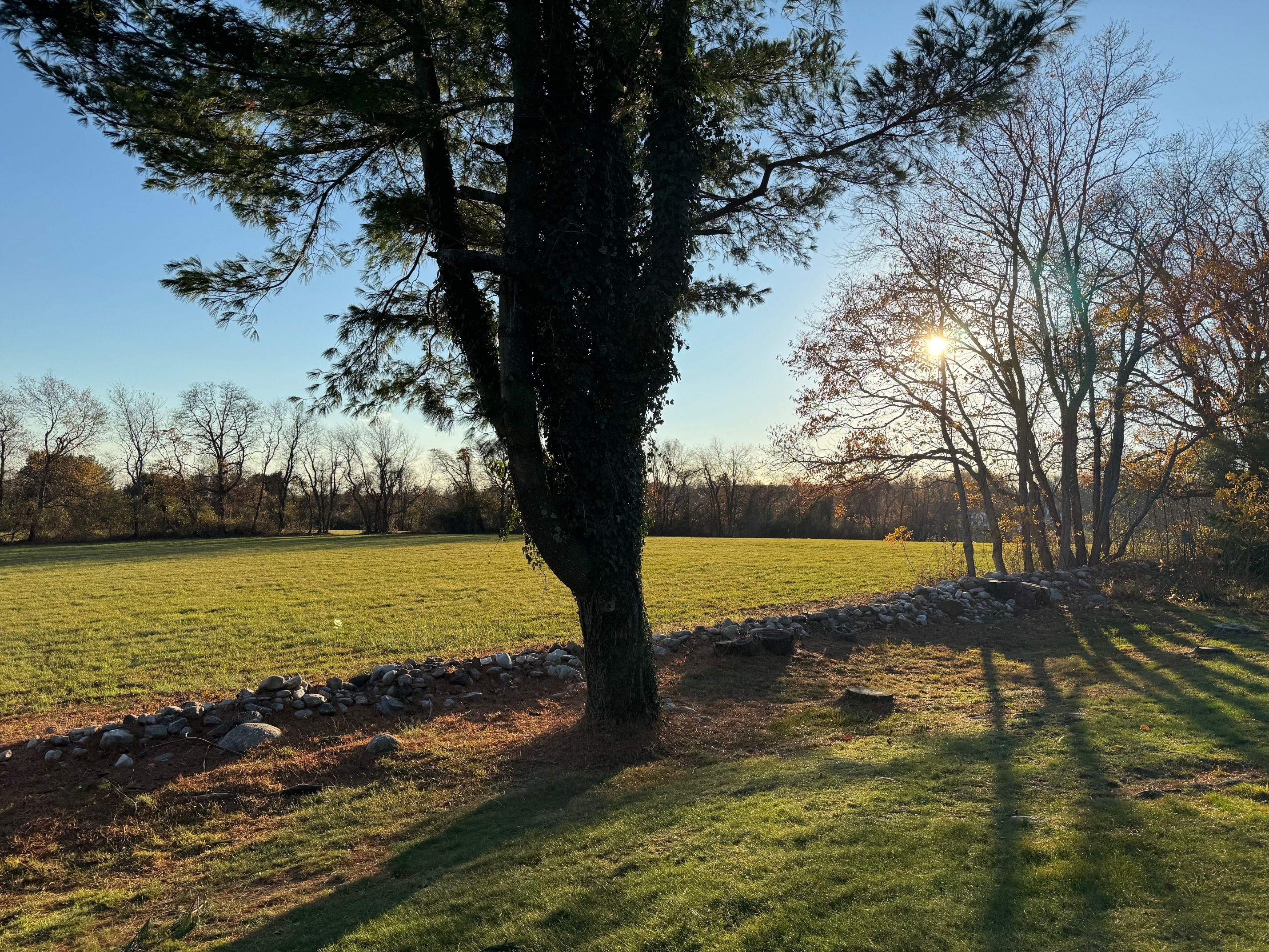 460 Asbury Ridge 460