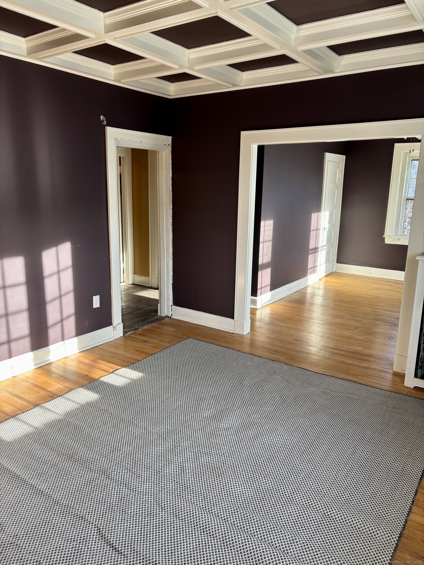 554 Brewster Street 4