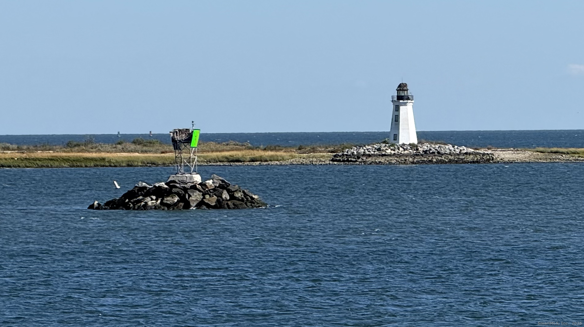 554 Brewster Street 4