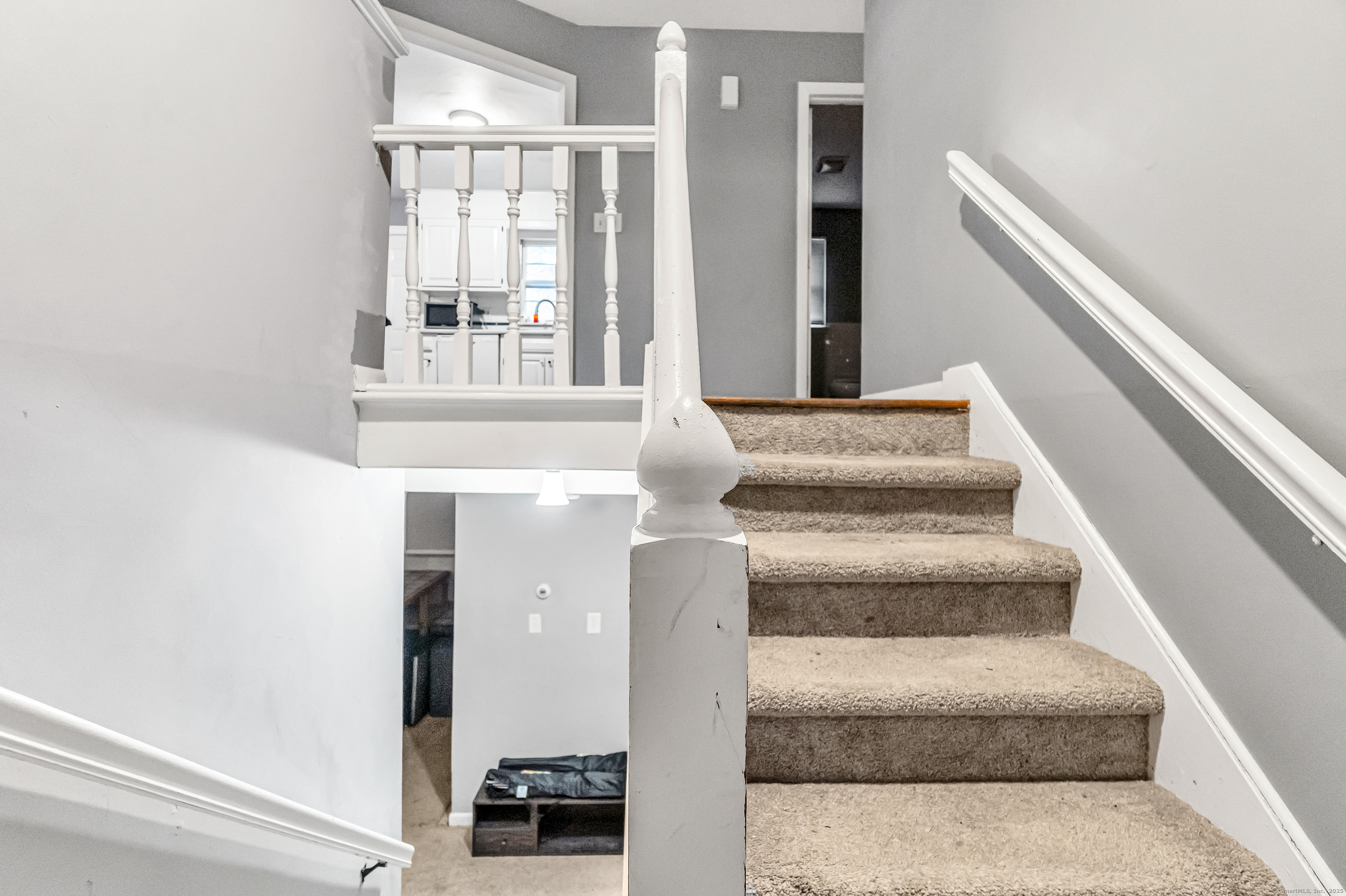 64 Darley Drive