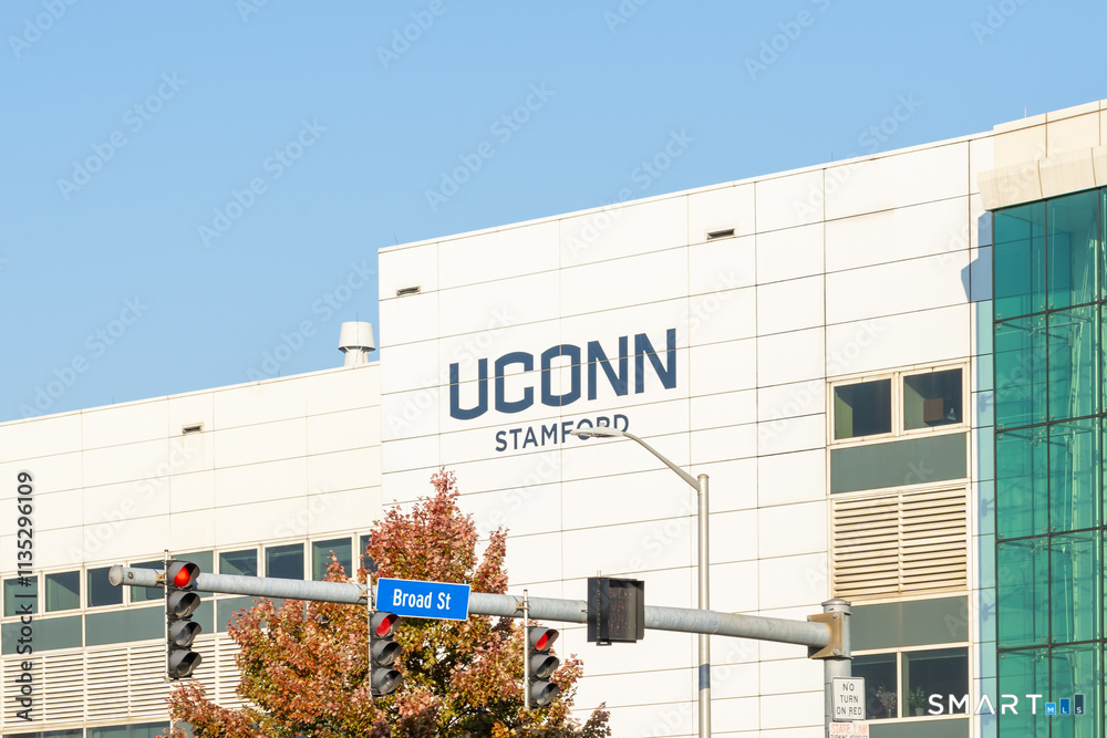 444 Bedford Street APT 8F