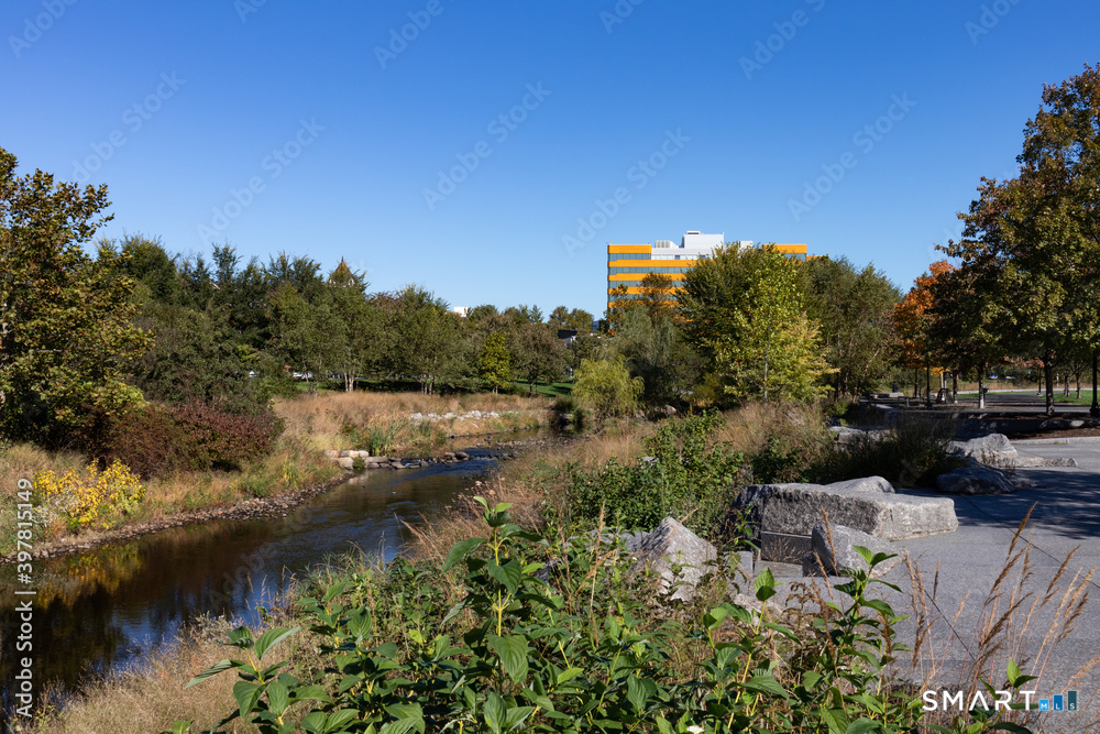 444 Bedford Street APT 8F