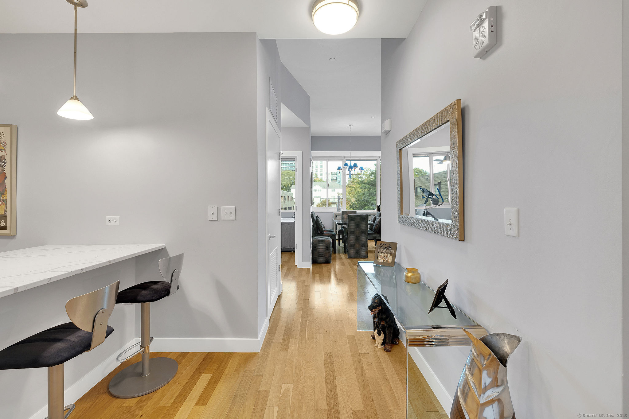 1515 Summer Street 302