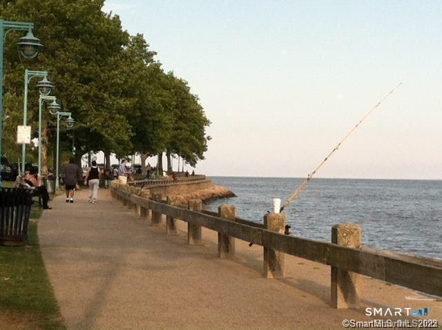 113 Ellsworth Street