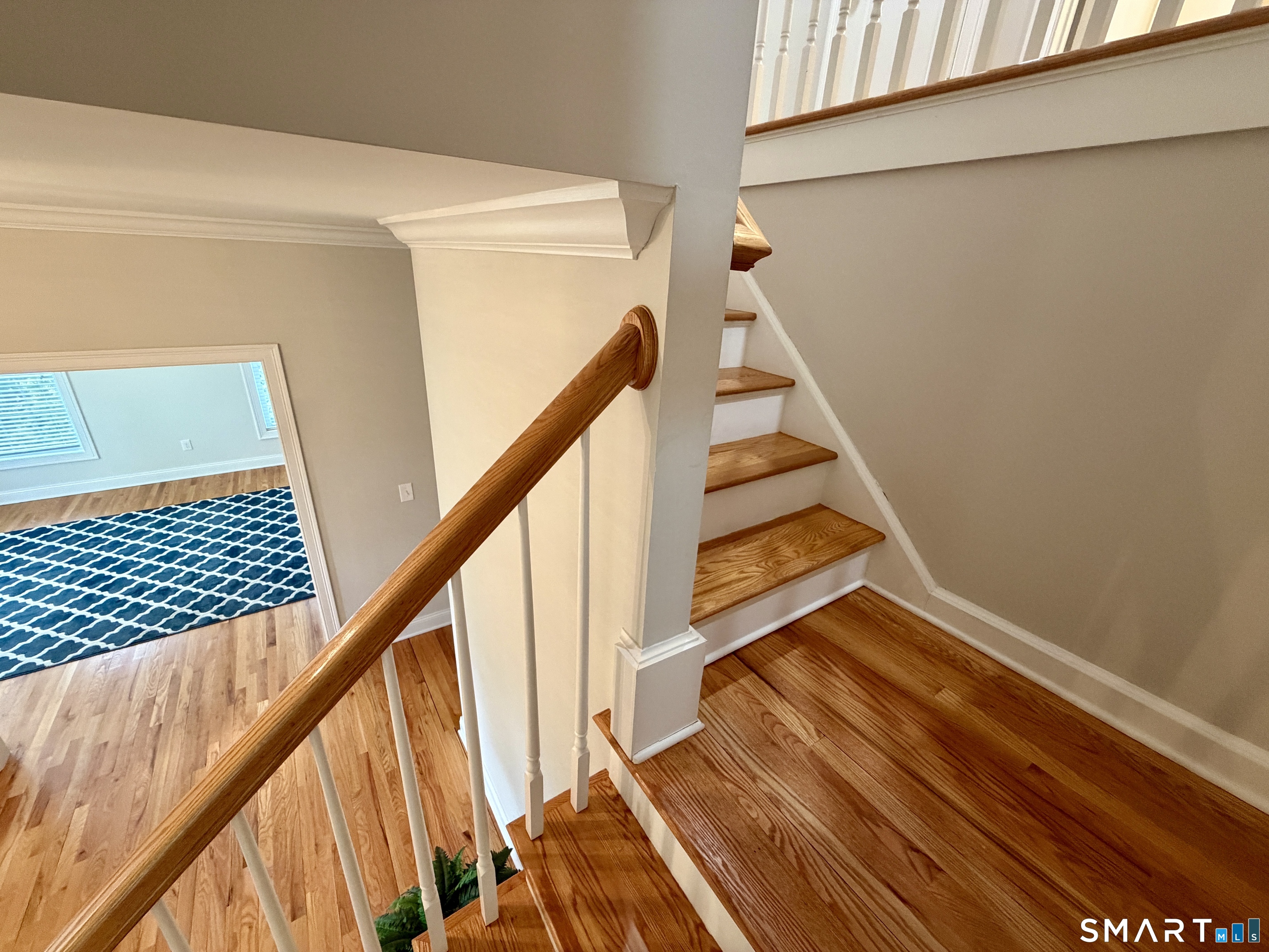 7 Jet Brook Road