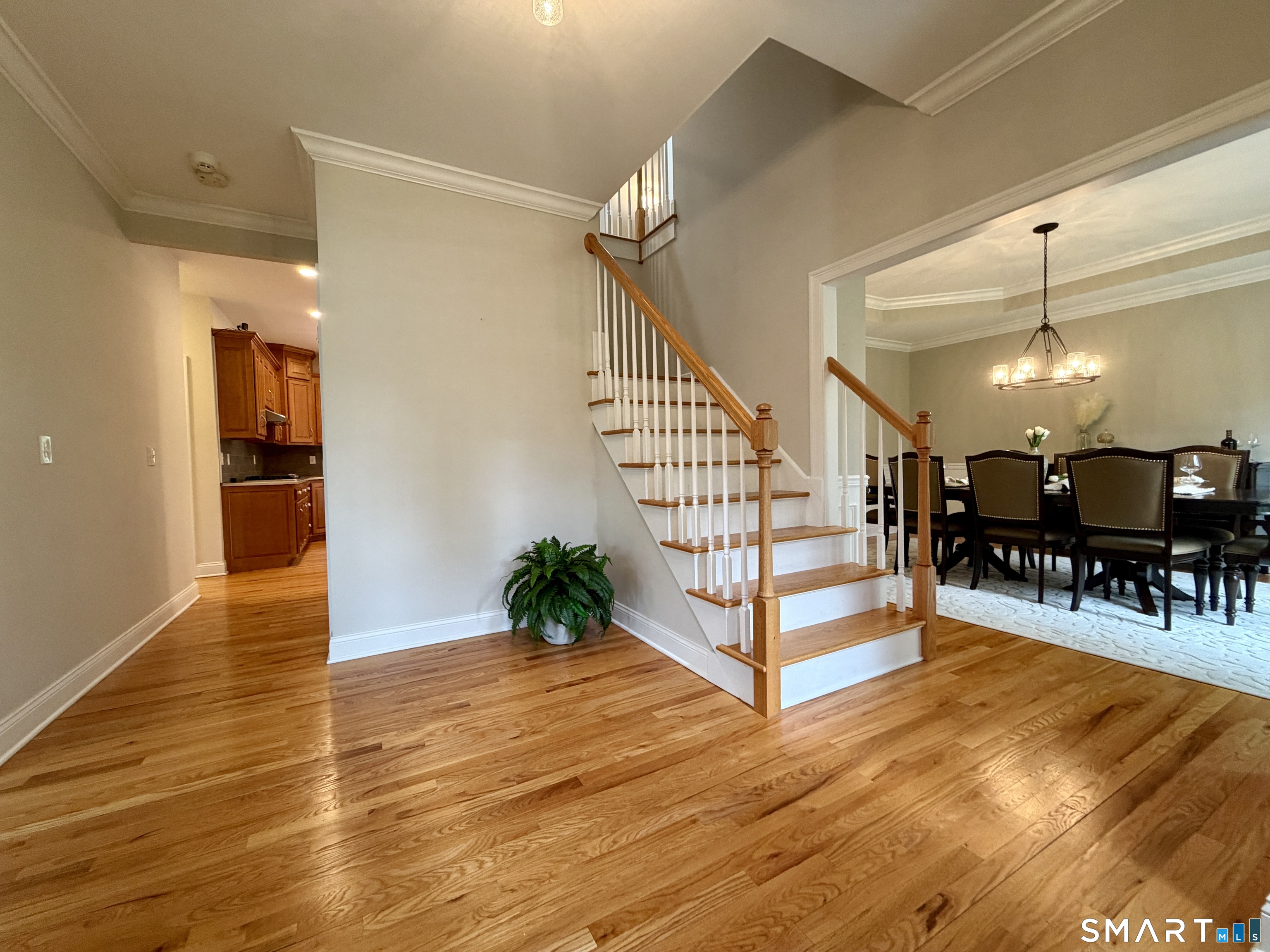 7 Jet Brook Road