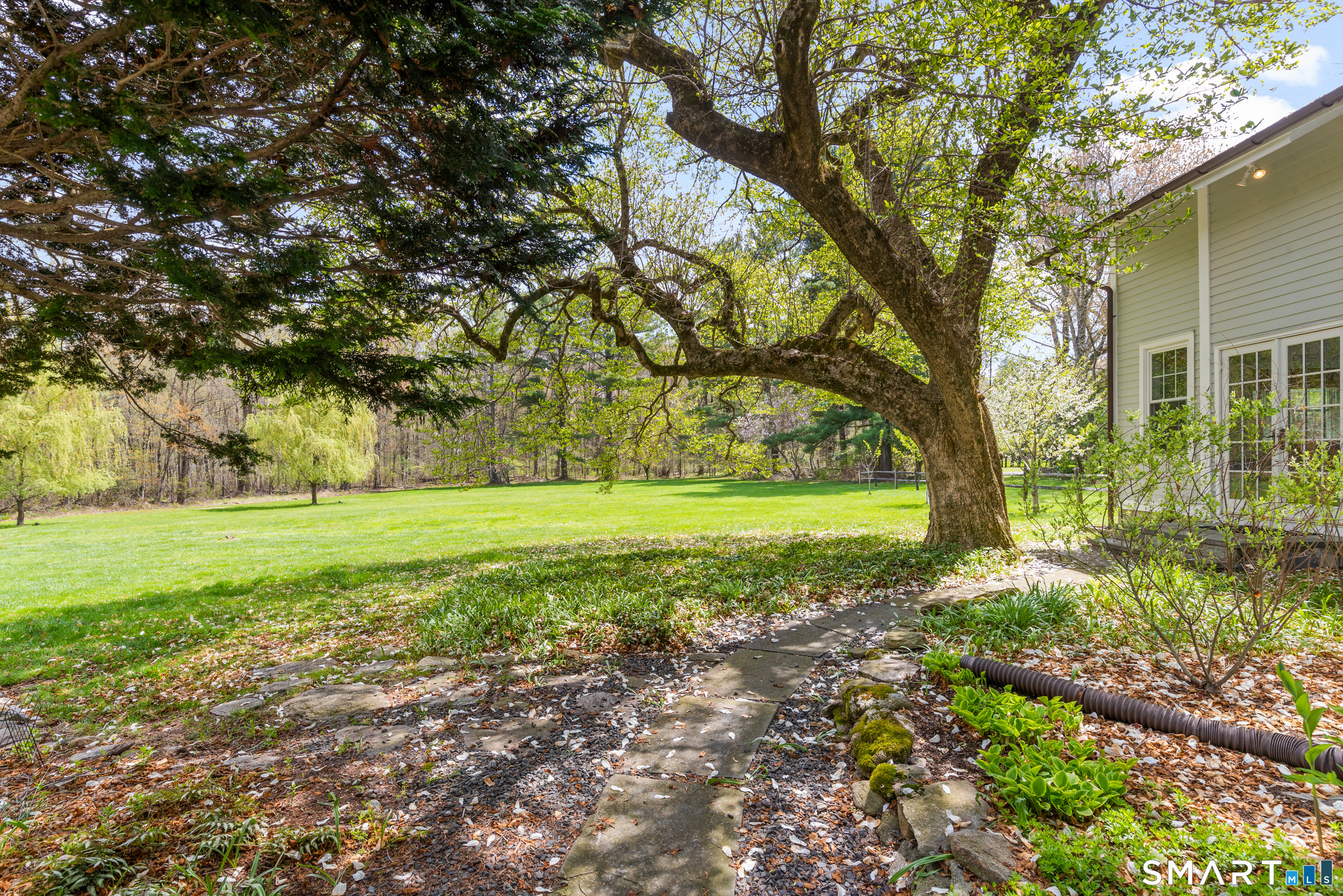 3810 Congress Street