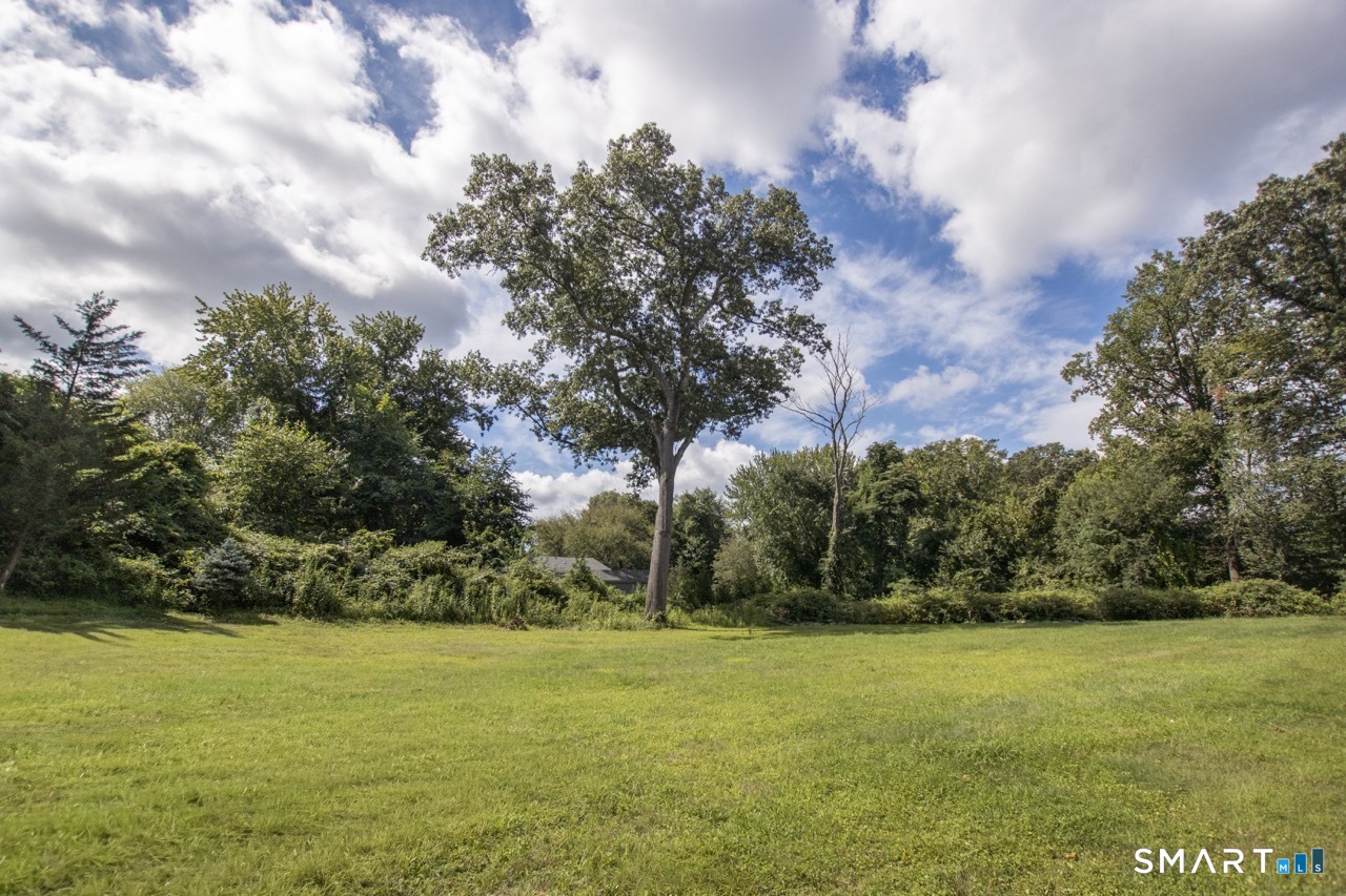 24 Plum Tree Lane
