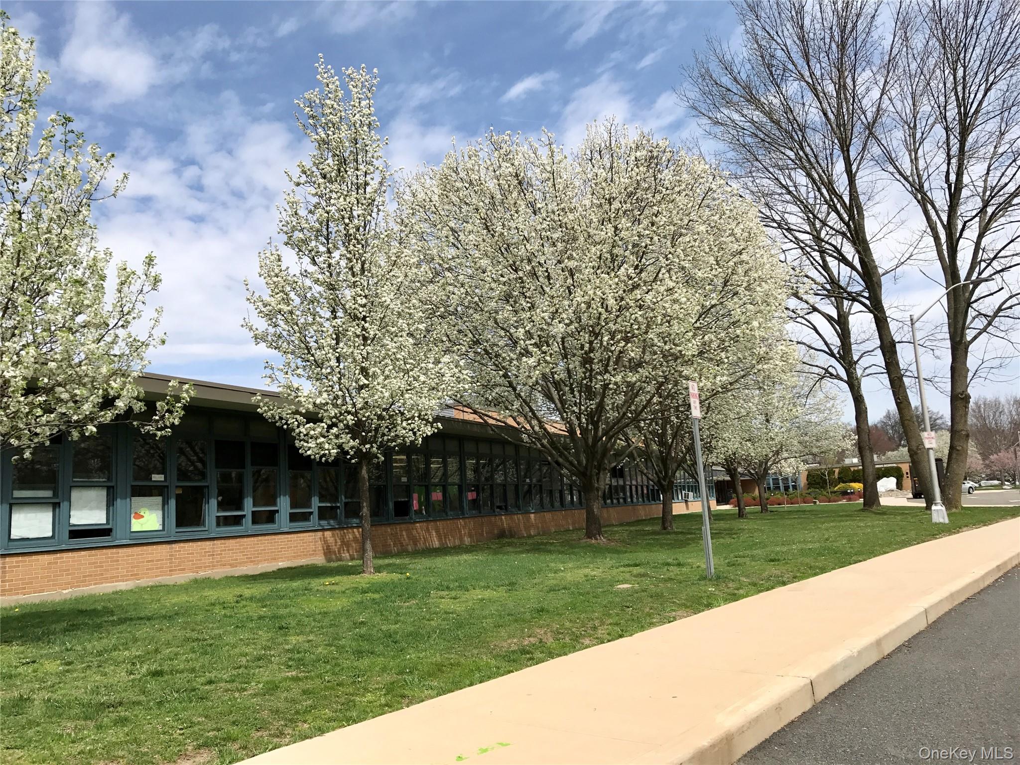 921 Jefferson Avenue