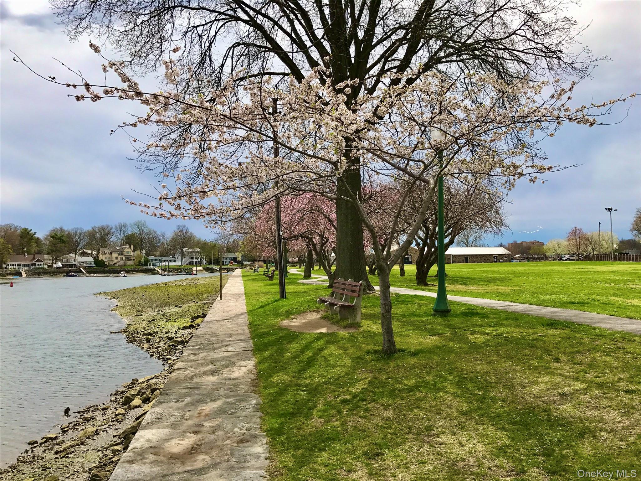 921 Jefferson Avenue