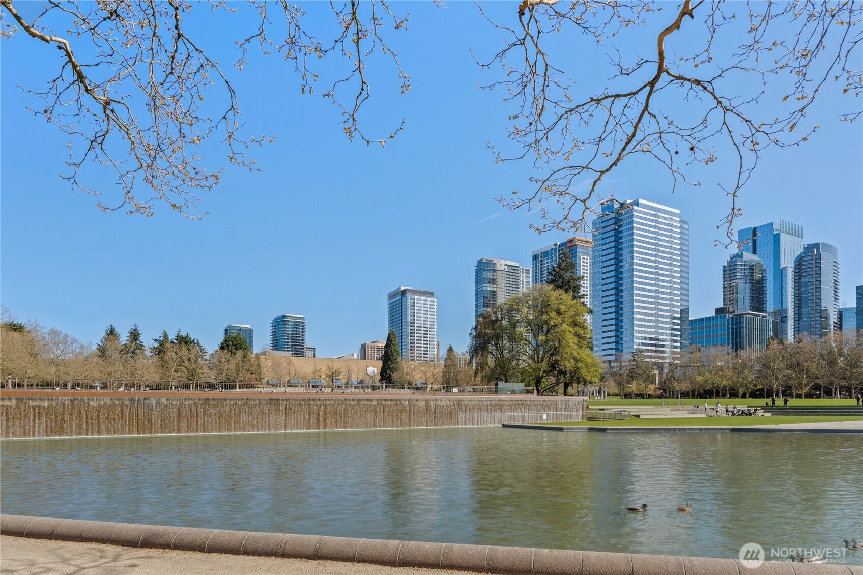 10015 NE 4th Street Unit: 3002