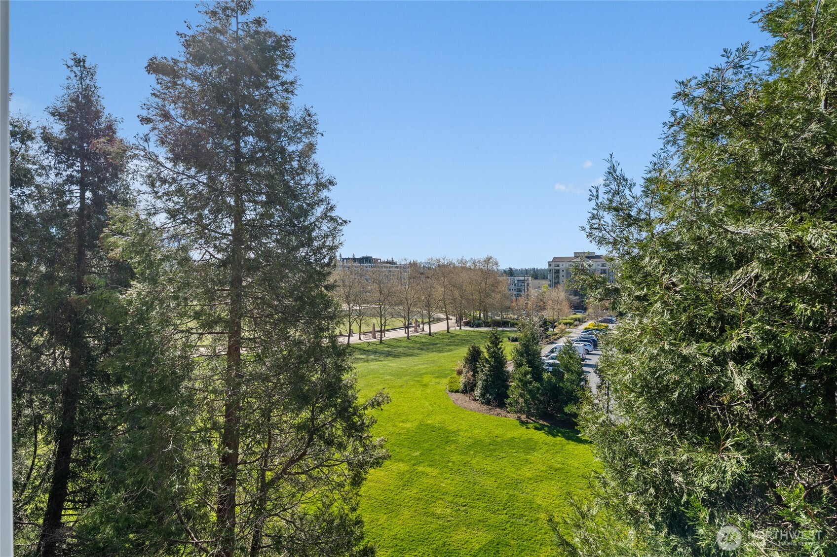 10015 NE 4th Street Unit: 3002